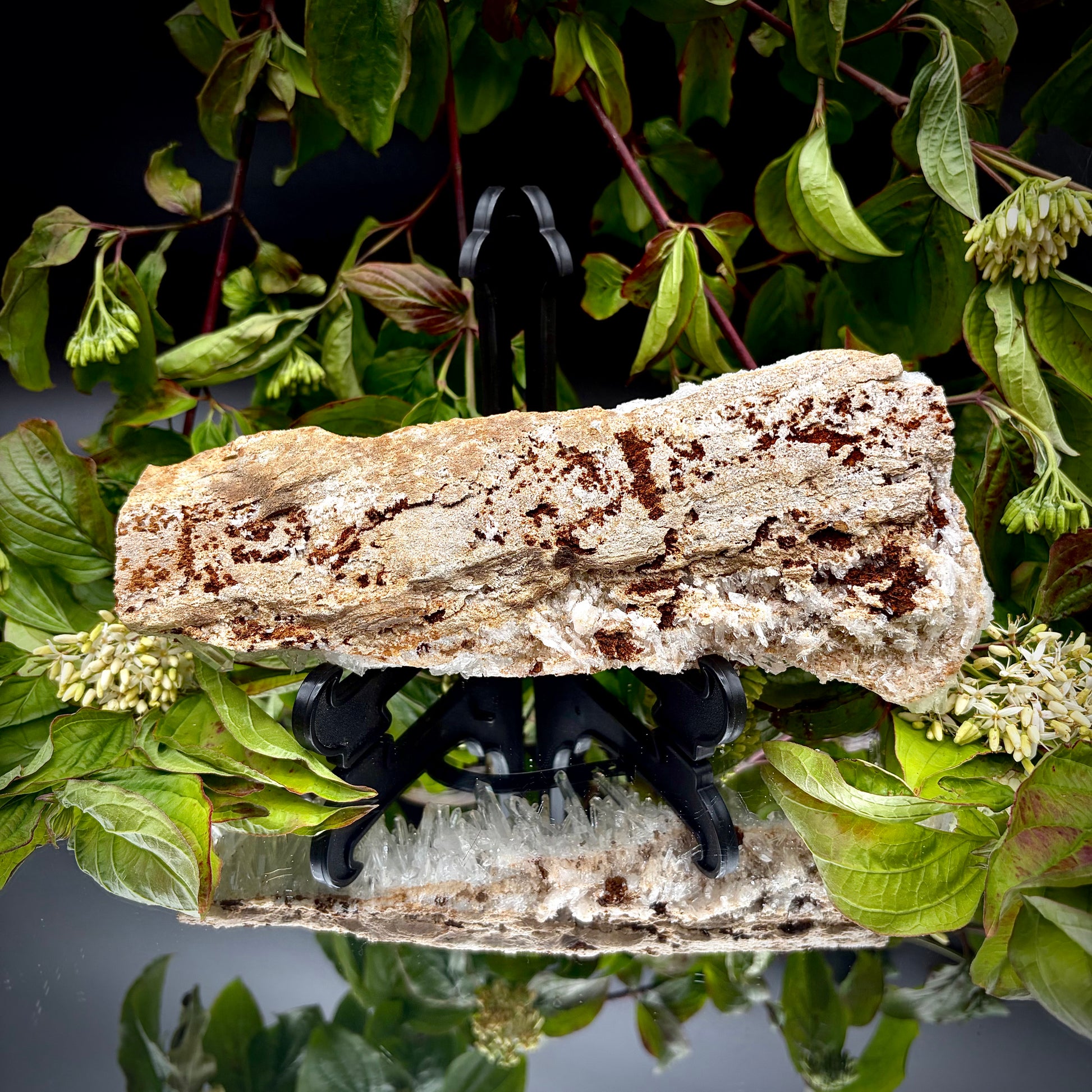 Crystalline needle quartz branching across a natural base, selected by Distinction Crystals.