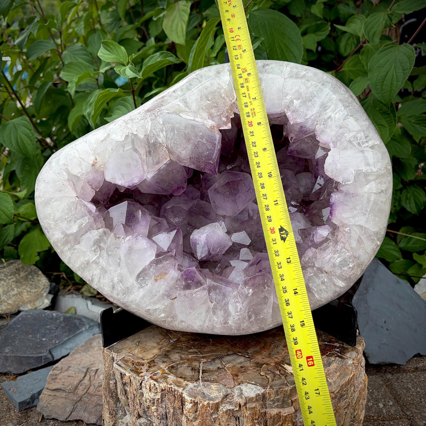 Exceptional Amethyst specimen with large well-defined crystal formation