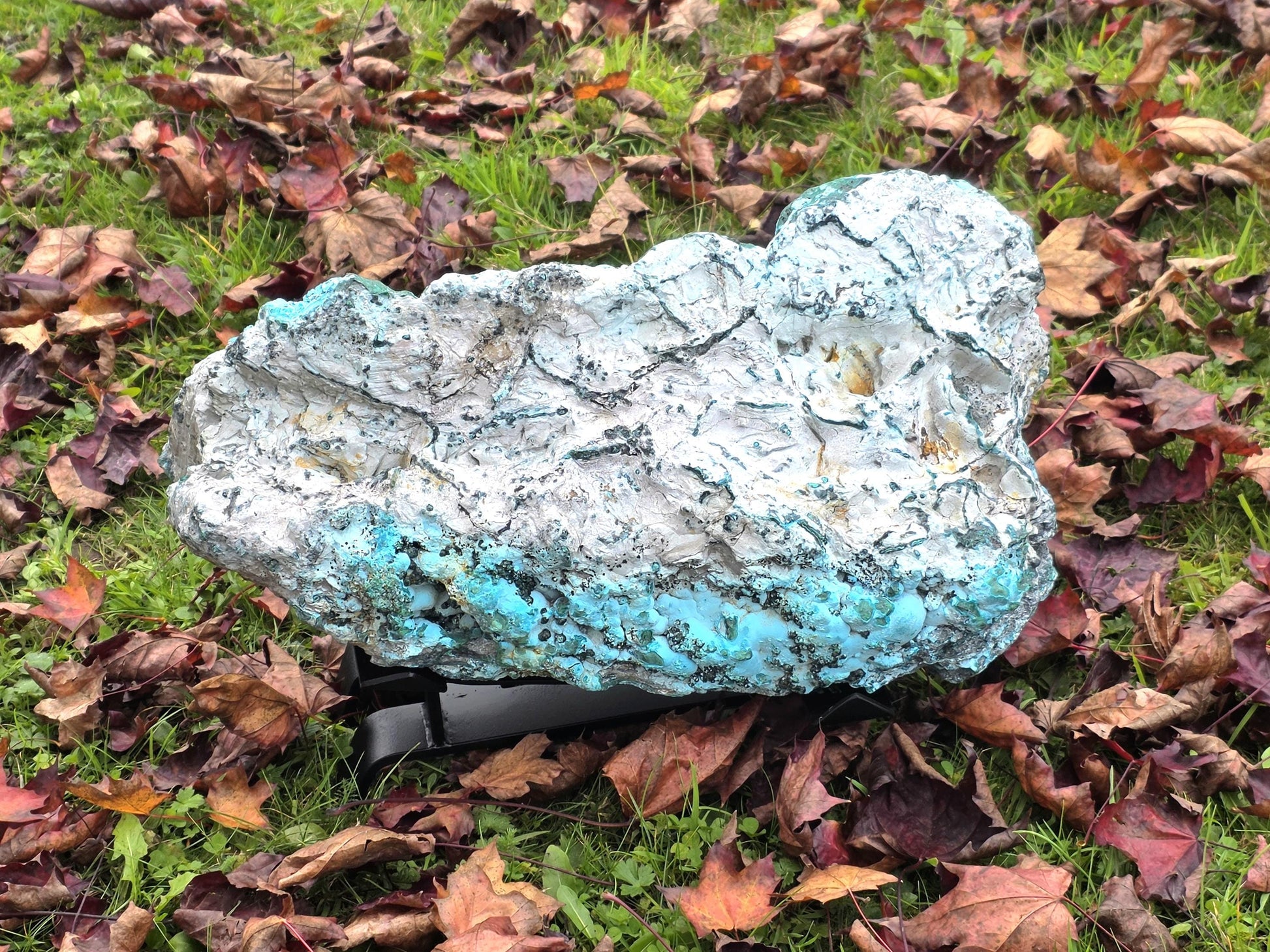 Collector-quality XL Chrysocolla mineral display specimen with copper veins.