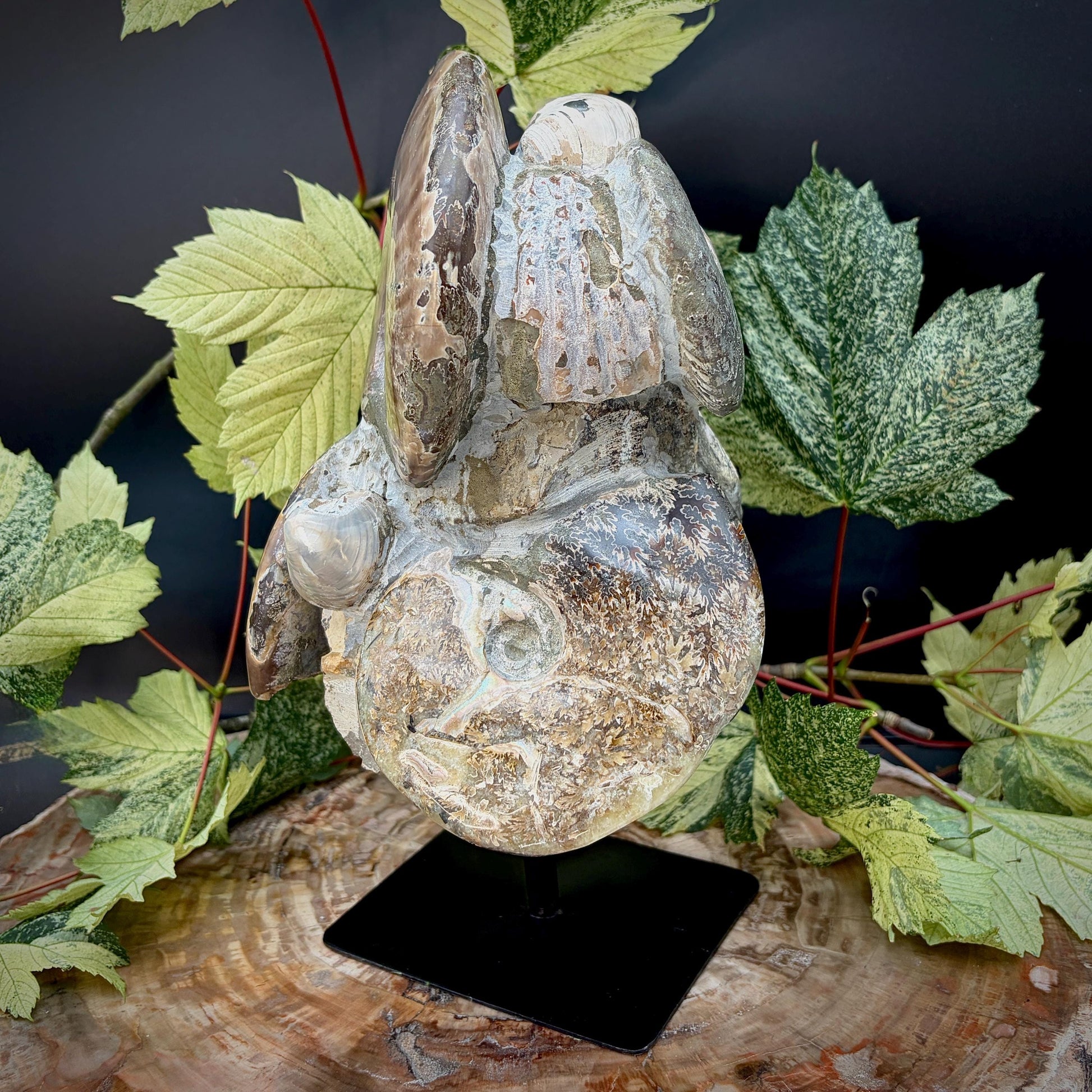 Natural fossil sculpture displayed upright on a stand