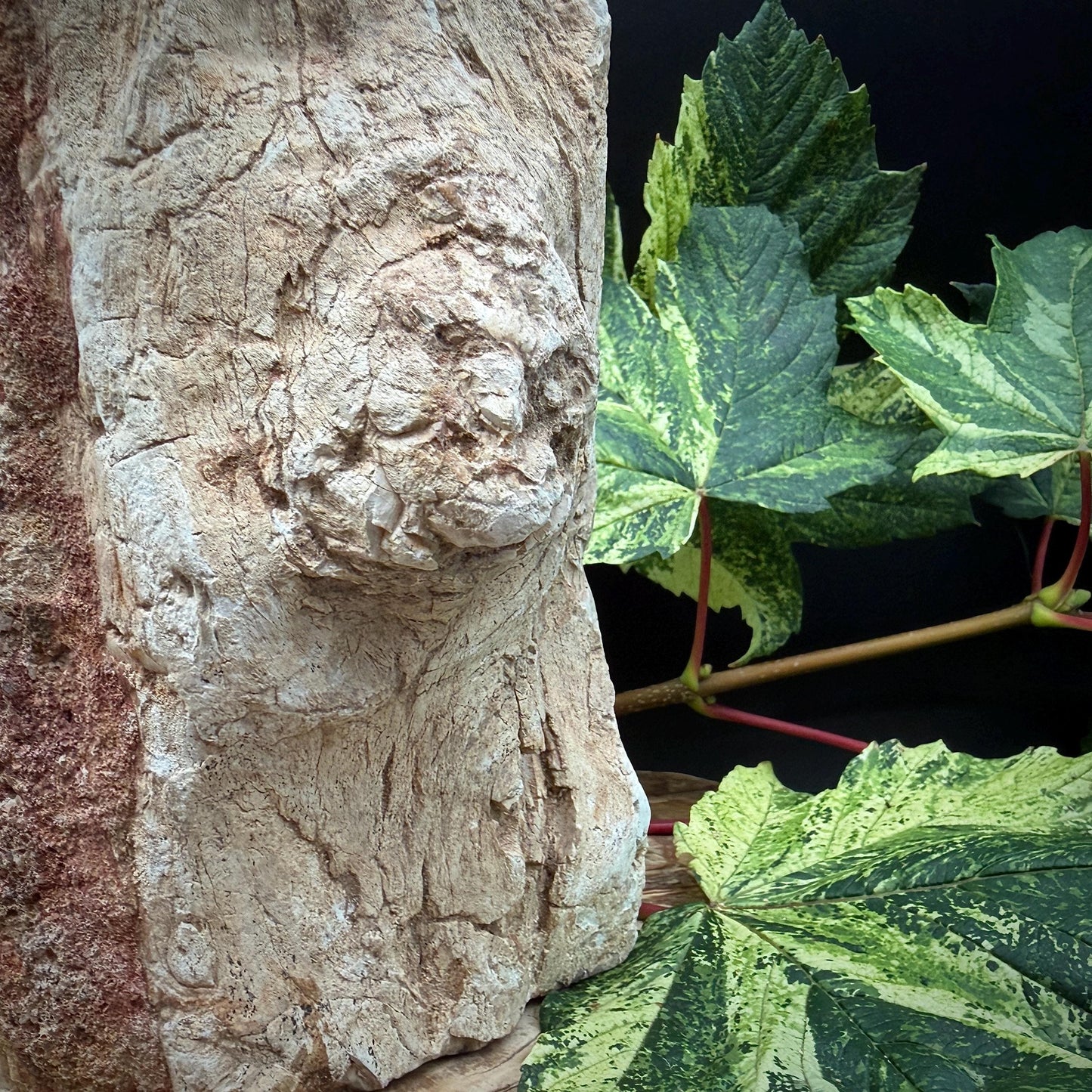 Fossil wood stump for statement shelf decor
