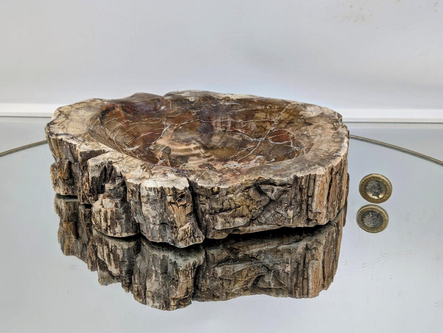Fossilized wood bowl, perfect for natural home décor