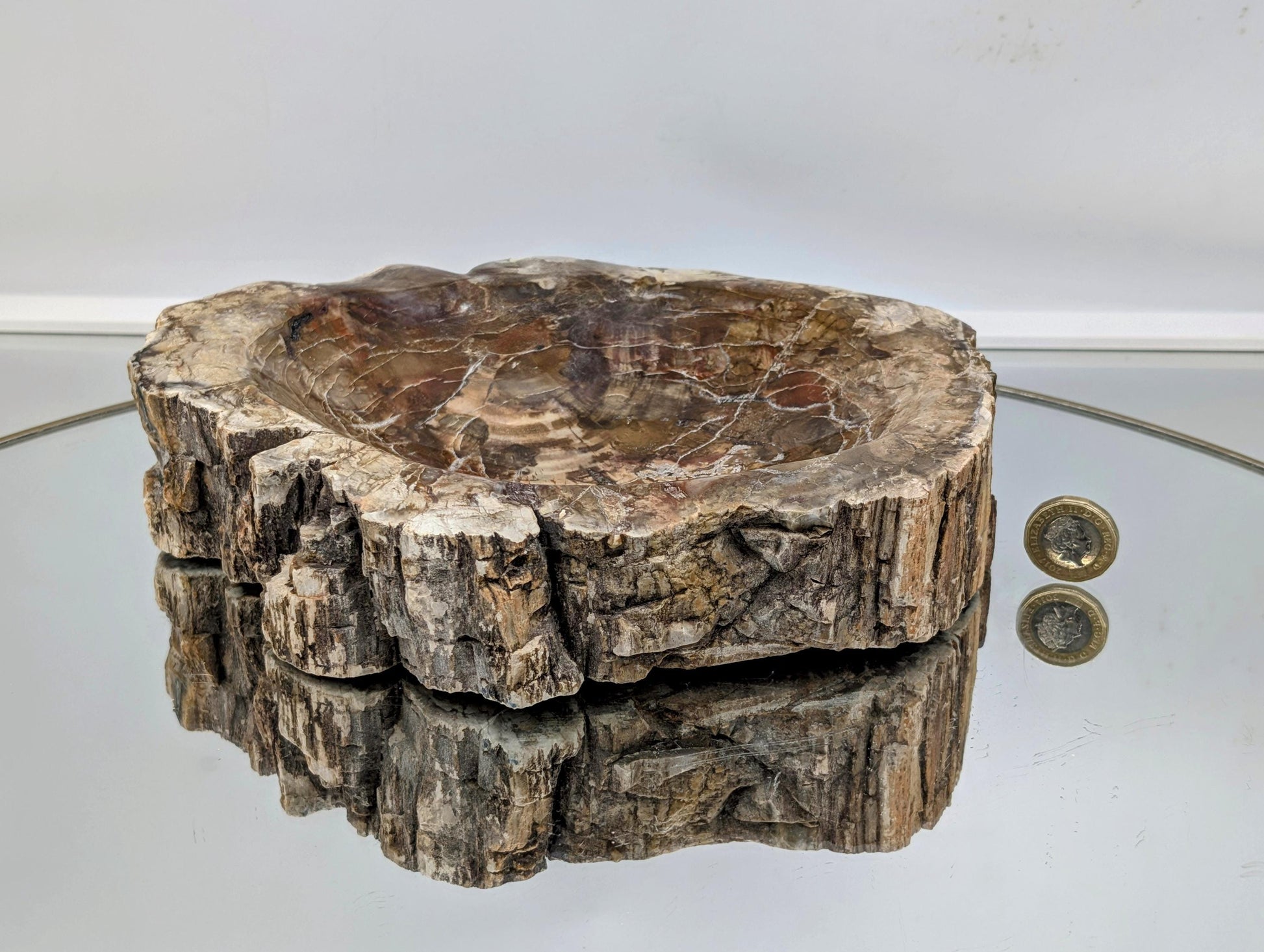 Fossilized wood bowl, perfect for natural home décor