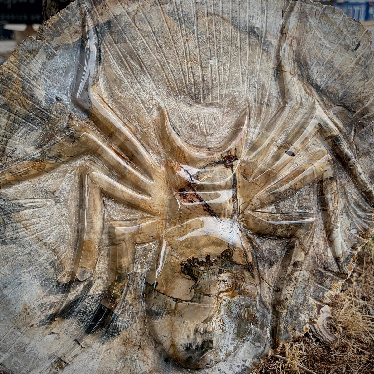 Close-up of the detailed spider carved into a polished petrified wood slice.