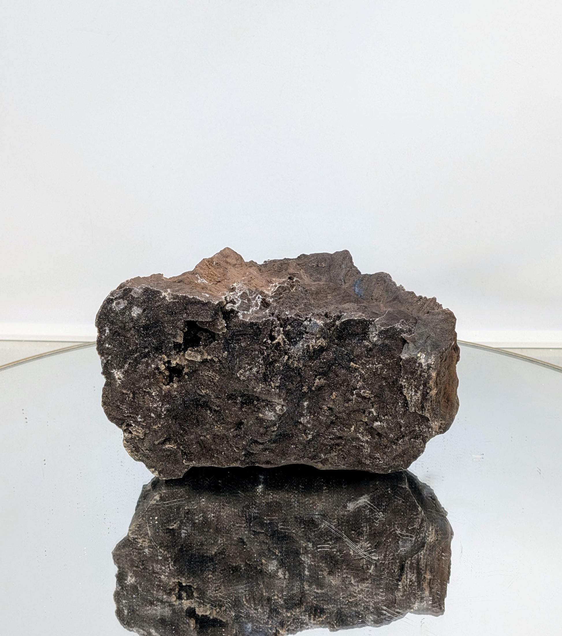 Fossilised wood featuring quartz crystal growth