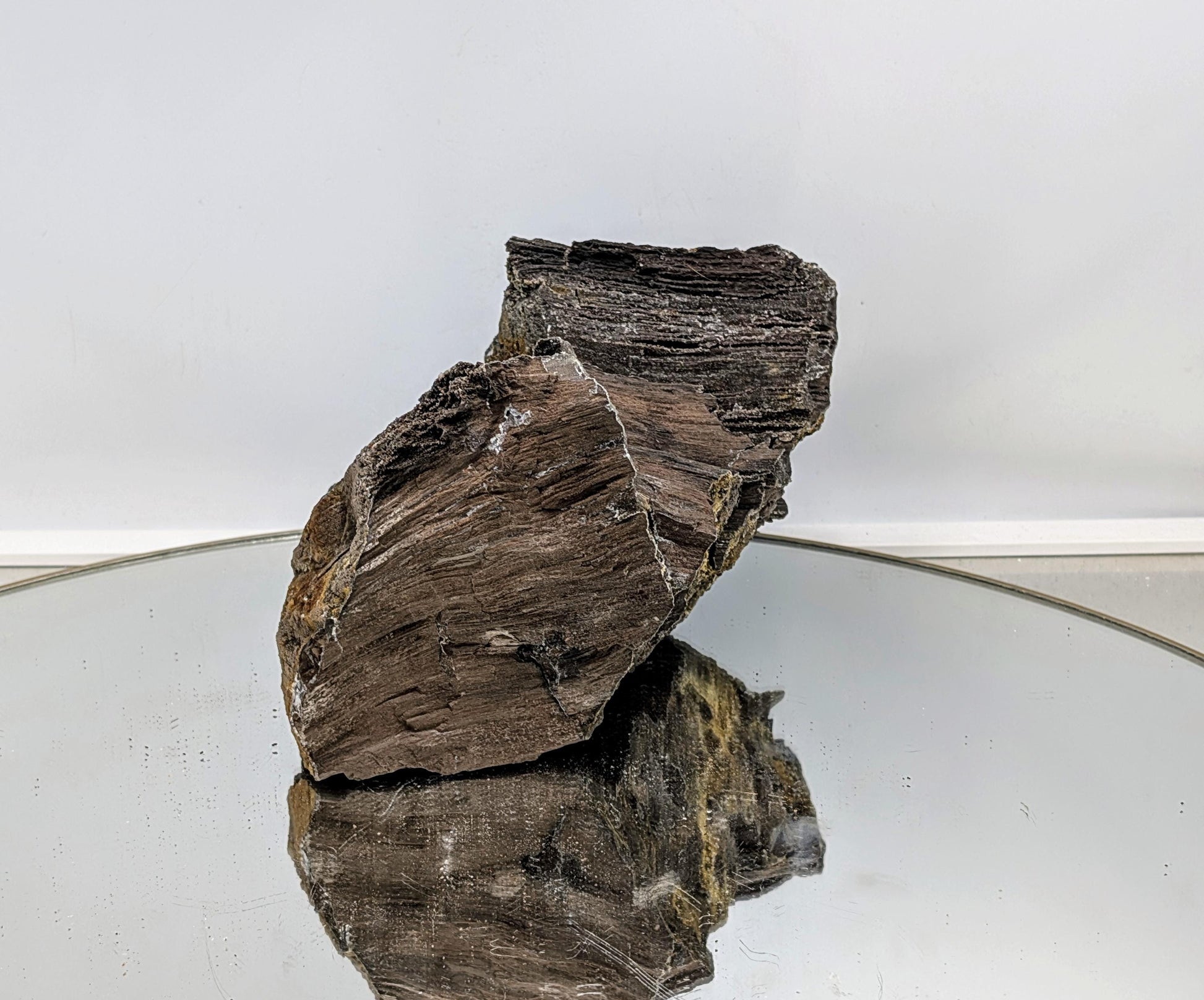 Fossil wood showing intricate druzy quartz formations