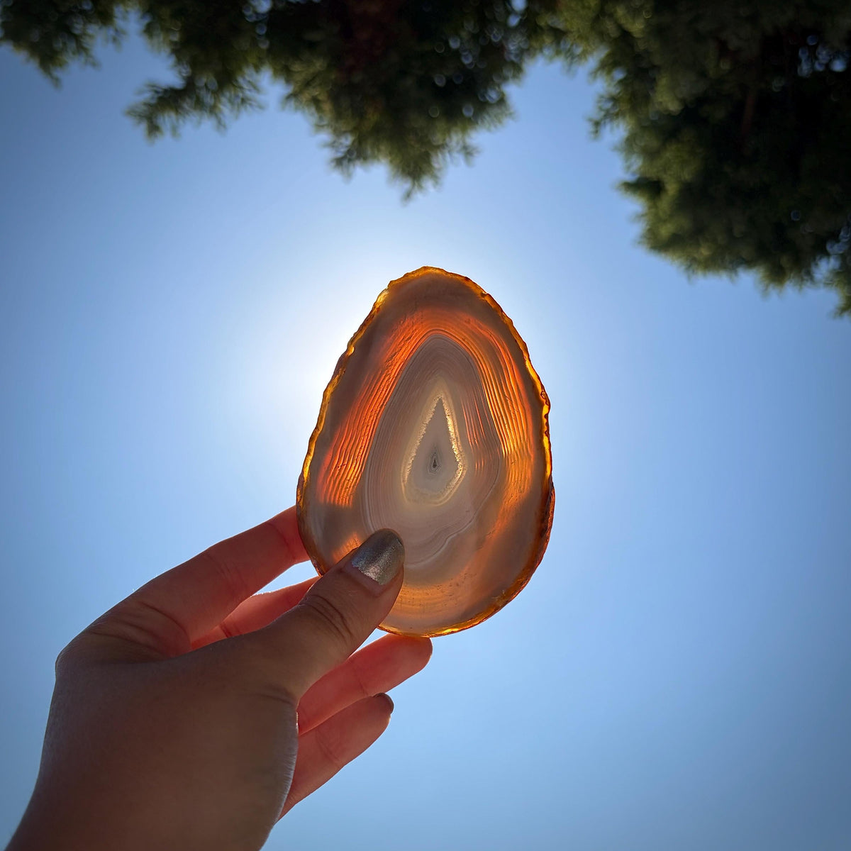 Four natural Agate stone slices for decorative display