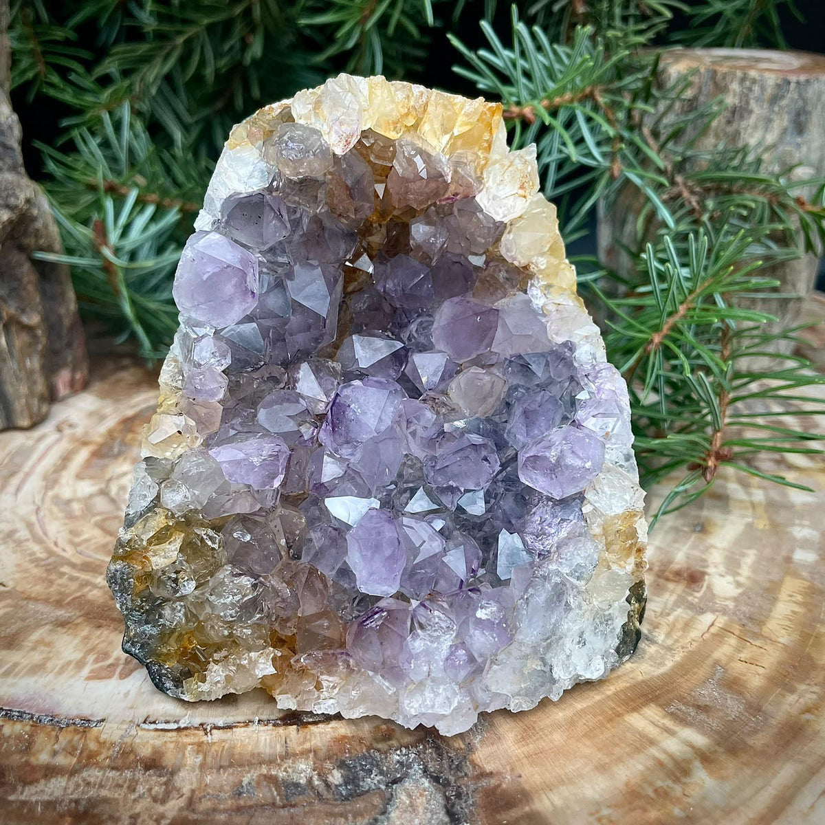 Freestanding natural Amethyst crystal cut base showing purple quartz formations and its upright display shape.