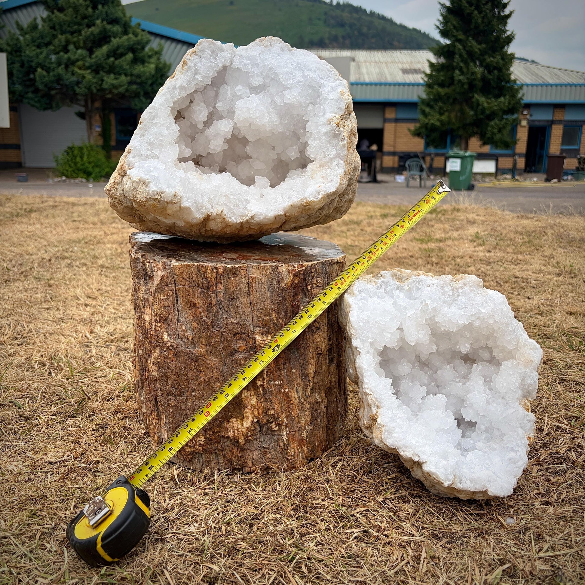 One half of a natural quartz crystal geode showing dense crystal growth.