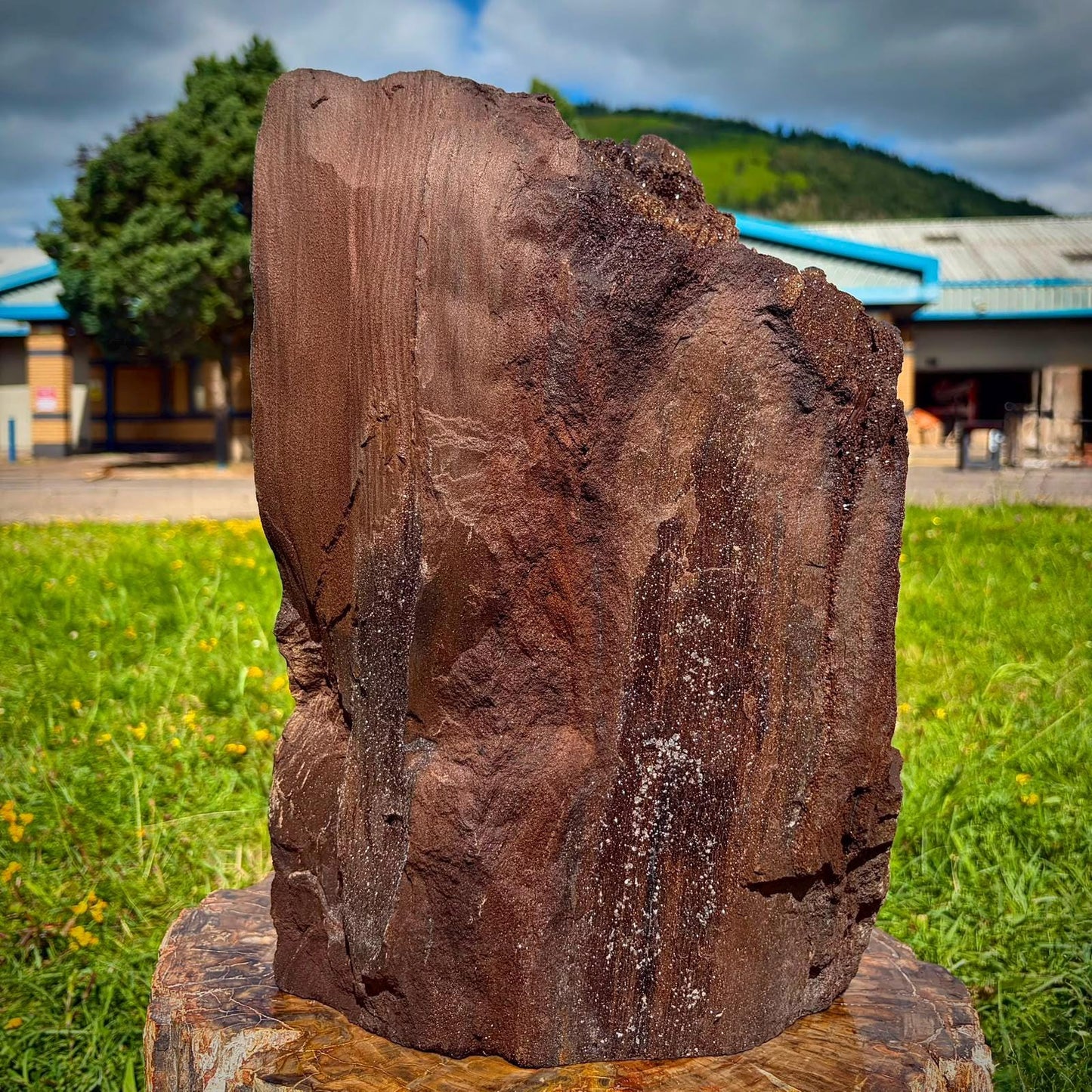 Natural fossil wood texture and Quartz crystal detail on a large German mineral specimen.