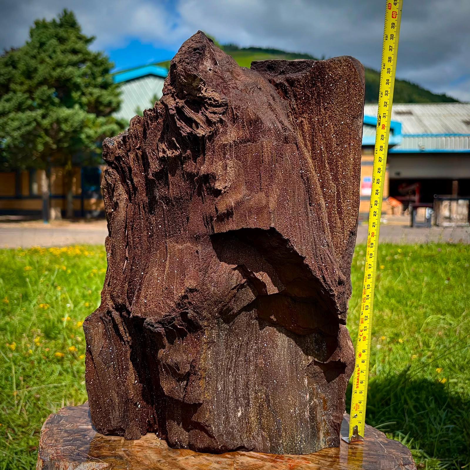 Large fossil wood specimen with natural Quartz druzy from Zwenkau in Saxony, Germany.