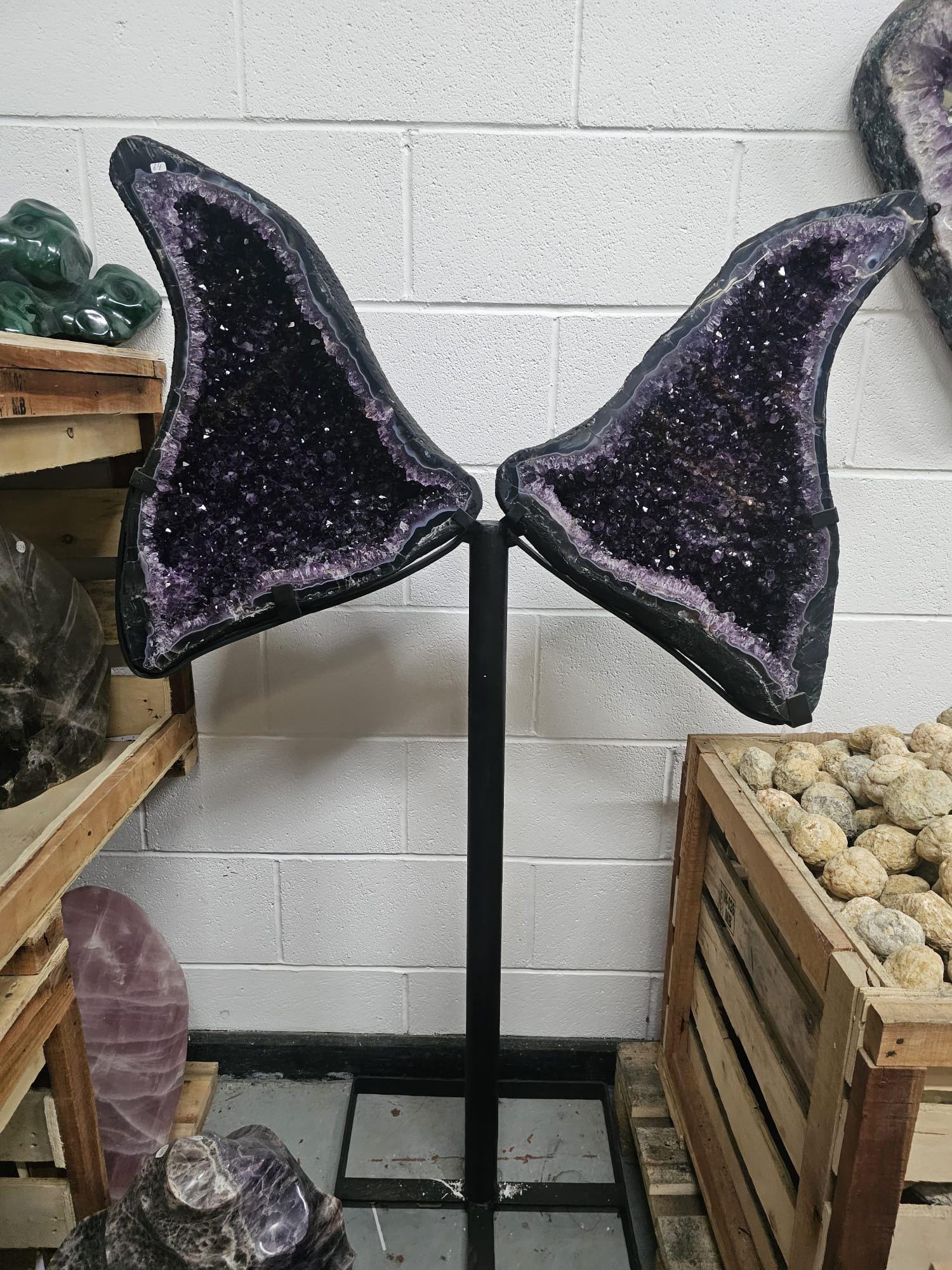 giant amethyst wings large crystal display