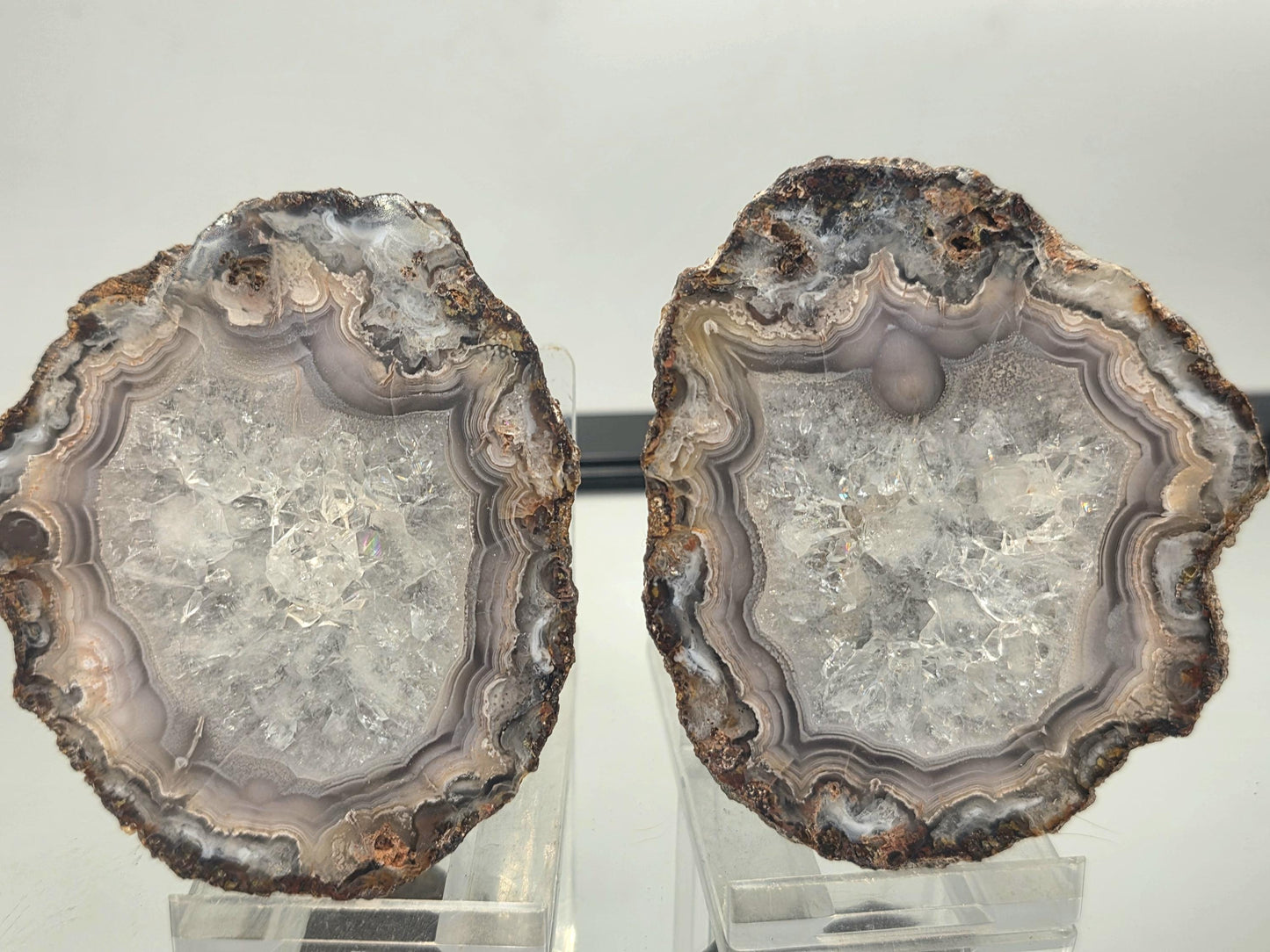 Glossy polished Mexican Agate Geode showing unique details.