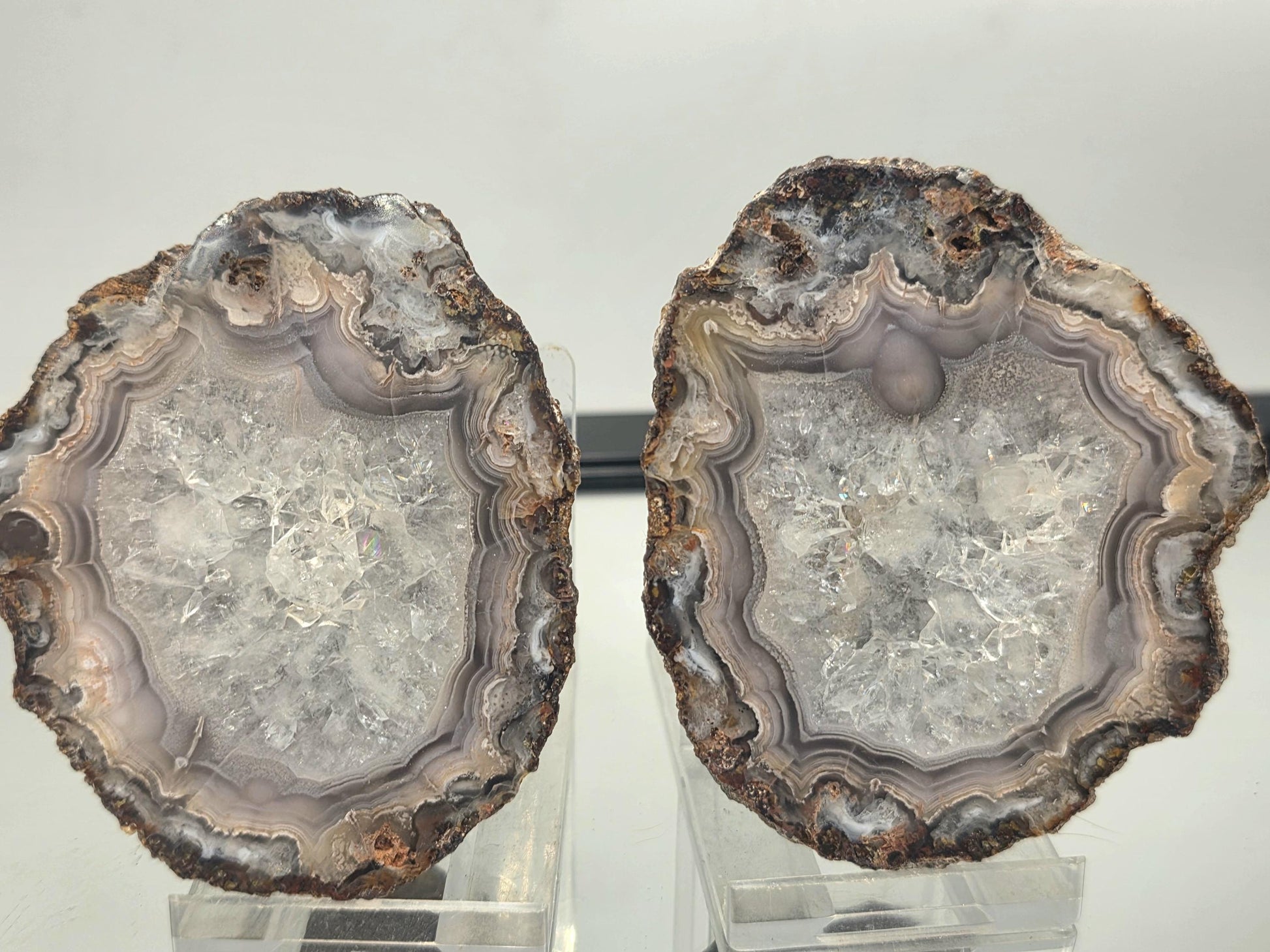Glossy polished Mexican Agate Geode showing unique details.