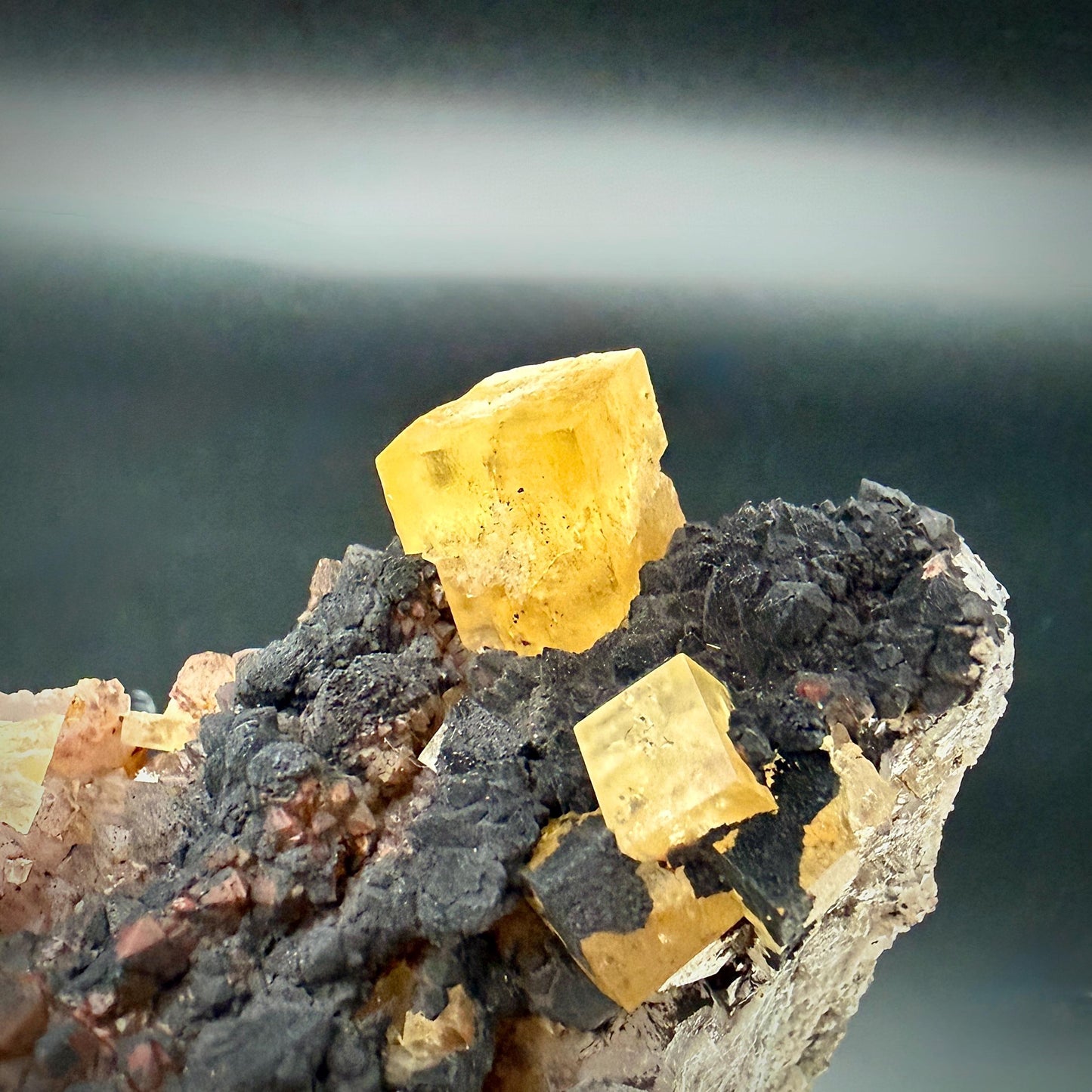 Side view of Golden Yellow Fluorite crystal on original Hematite Matrix