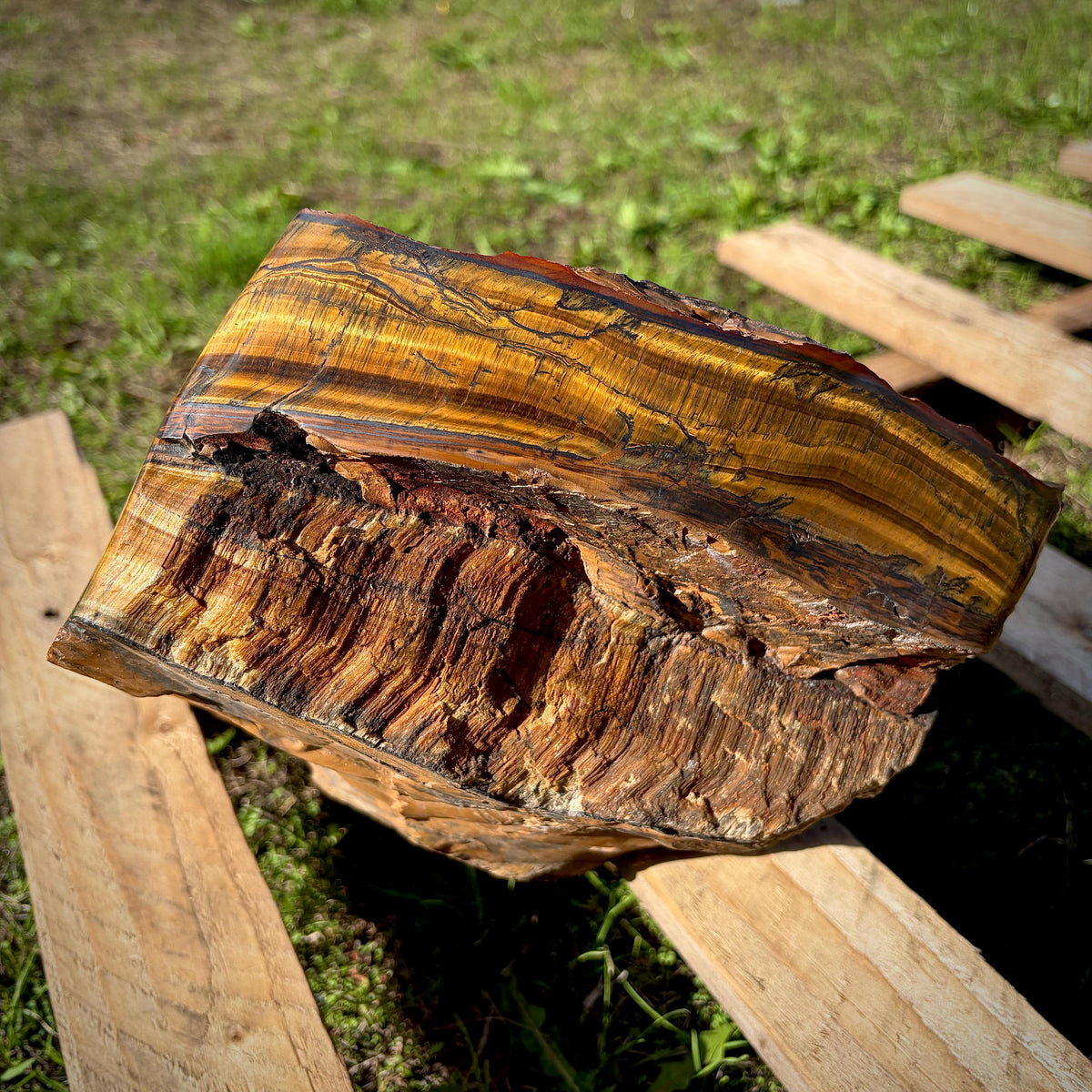 Large golden Tigers Eye display specimen with chatoyant banding