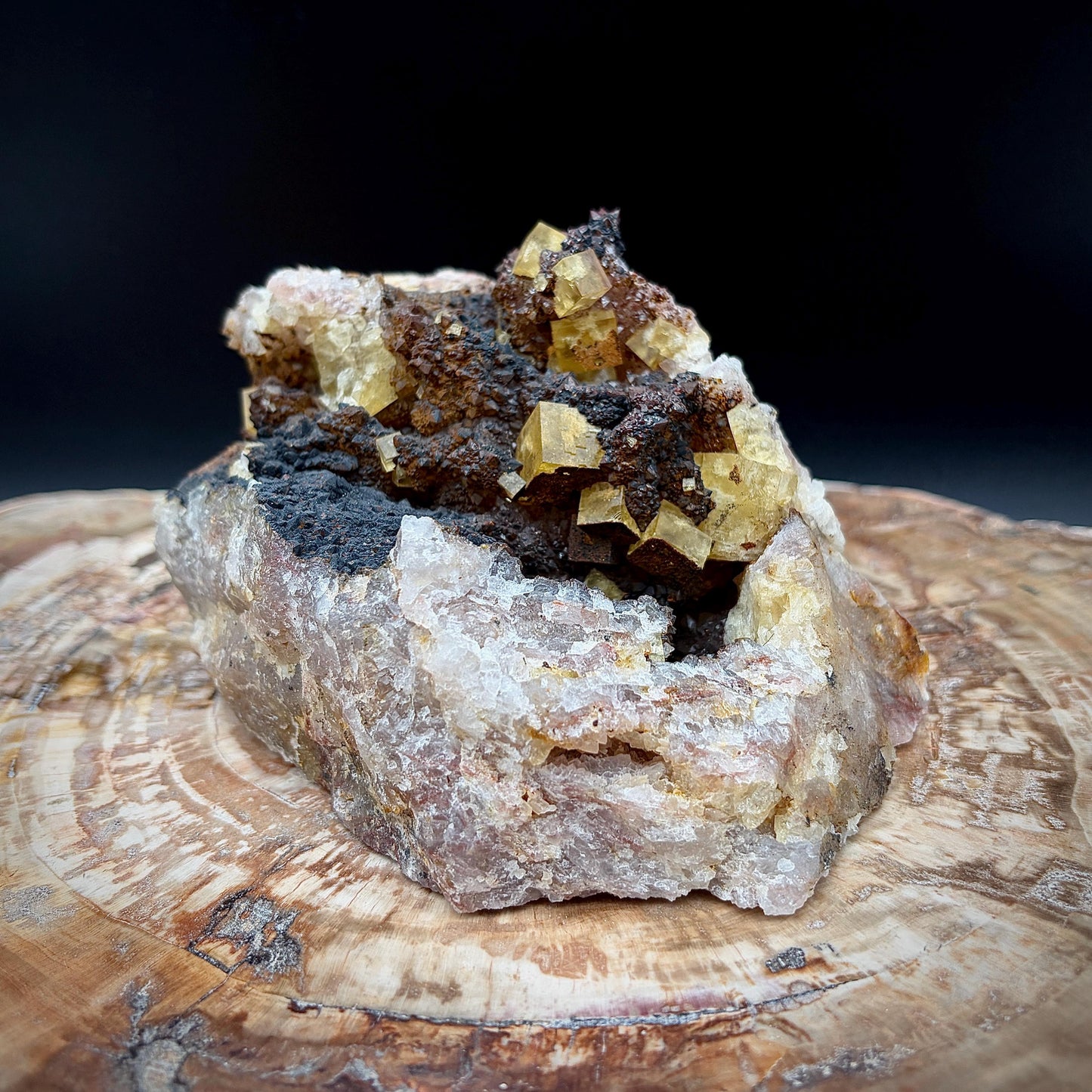 Golden Yellow Fluorite on black Hematite matrix mineral specimen