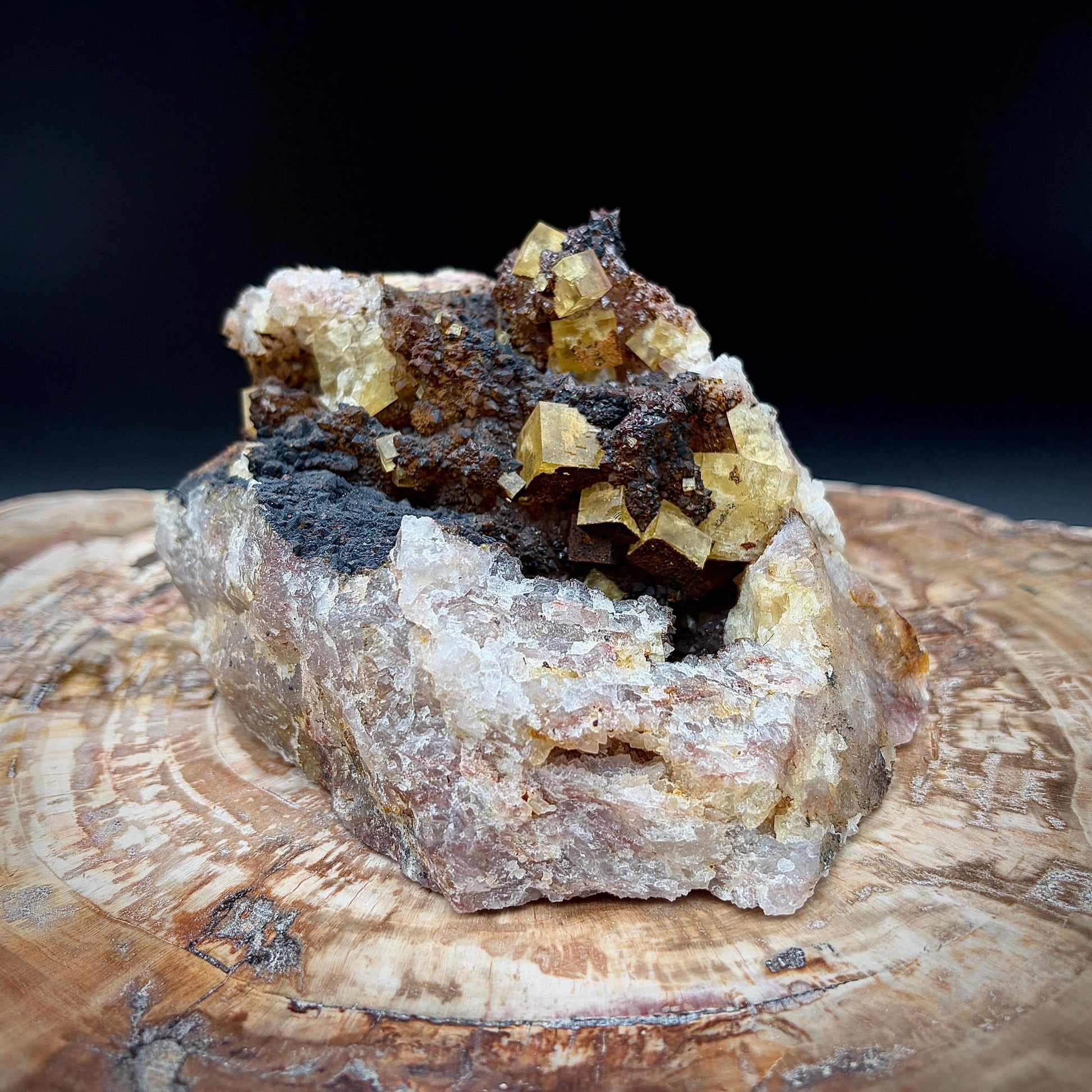Golden Yellow Fluorite on black Hematite matrix mineral specimen