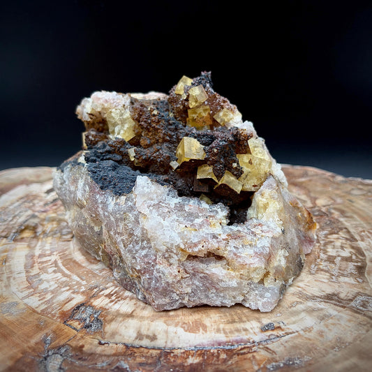 Golden Yellow Fluorite on black Hematite matrix mineral specimen