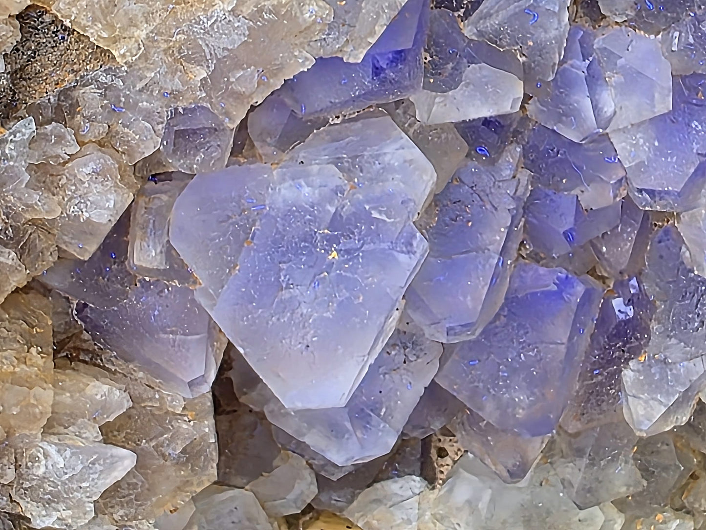 Close-up showing fine octahedral fluorite crystals with sharp edges.