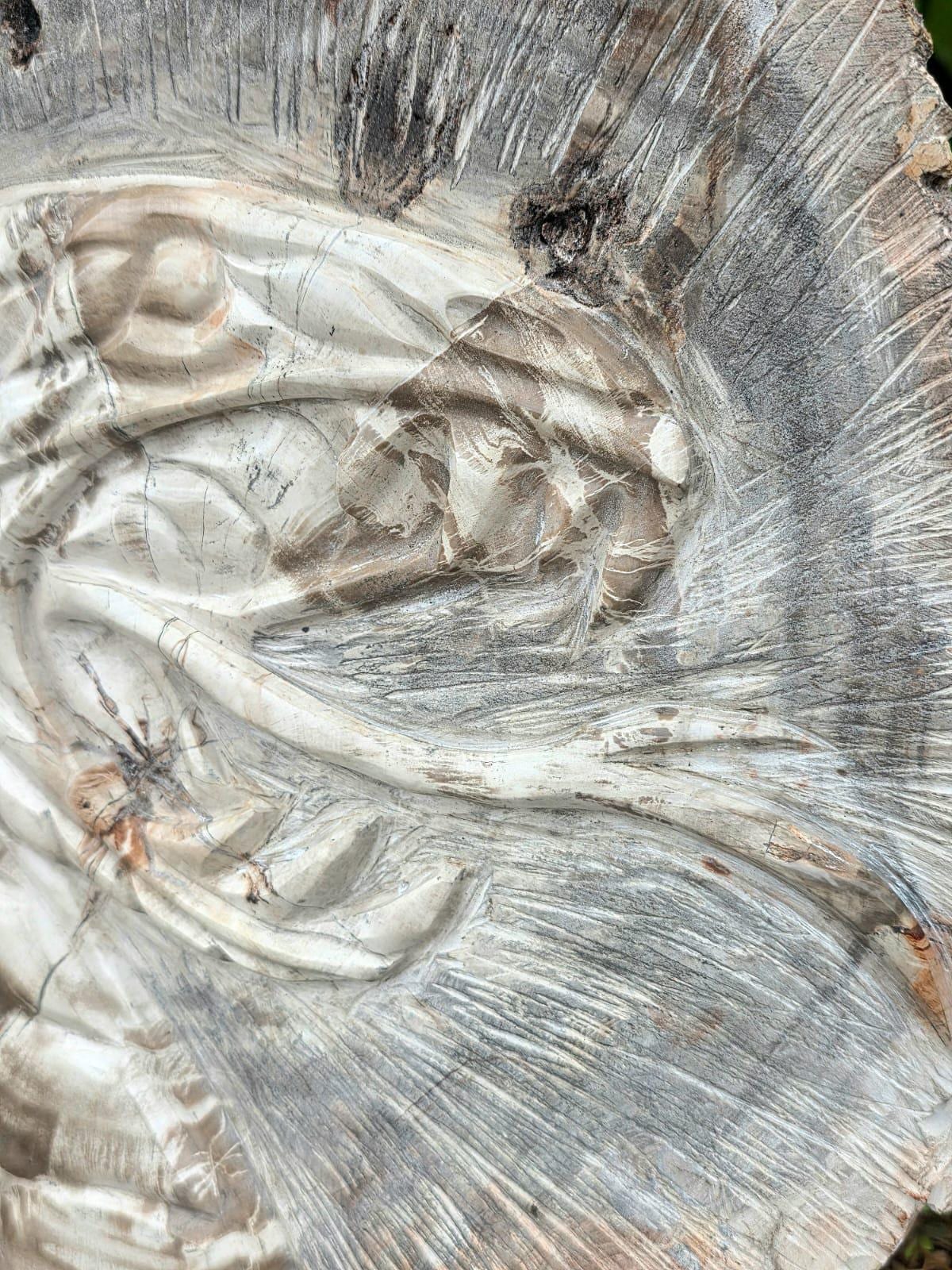 Detailed cobra head carved from genuine petrified wood