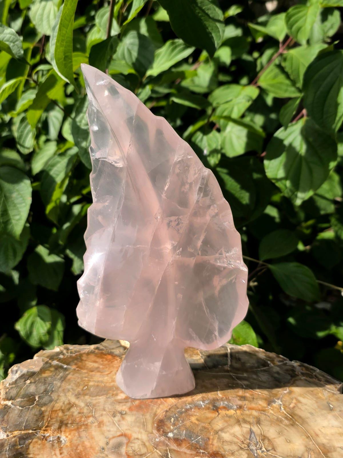 Decorative Rose Quartz leaf sculpture crafted from genuine Madagascan Rose Quartz.