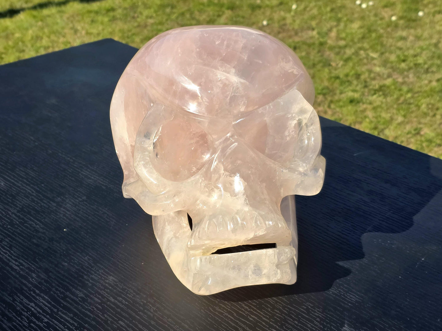 A premium hand-carved Rose Quartz Skull from Madagascar.