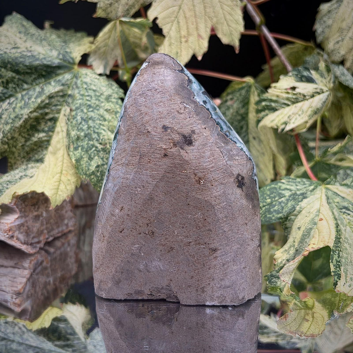 High-grade Uruguayan Amethyst specimen for crystal collectors.