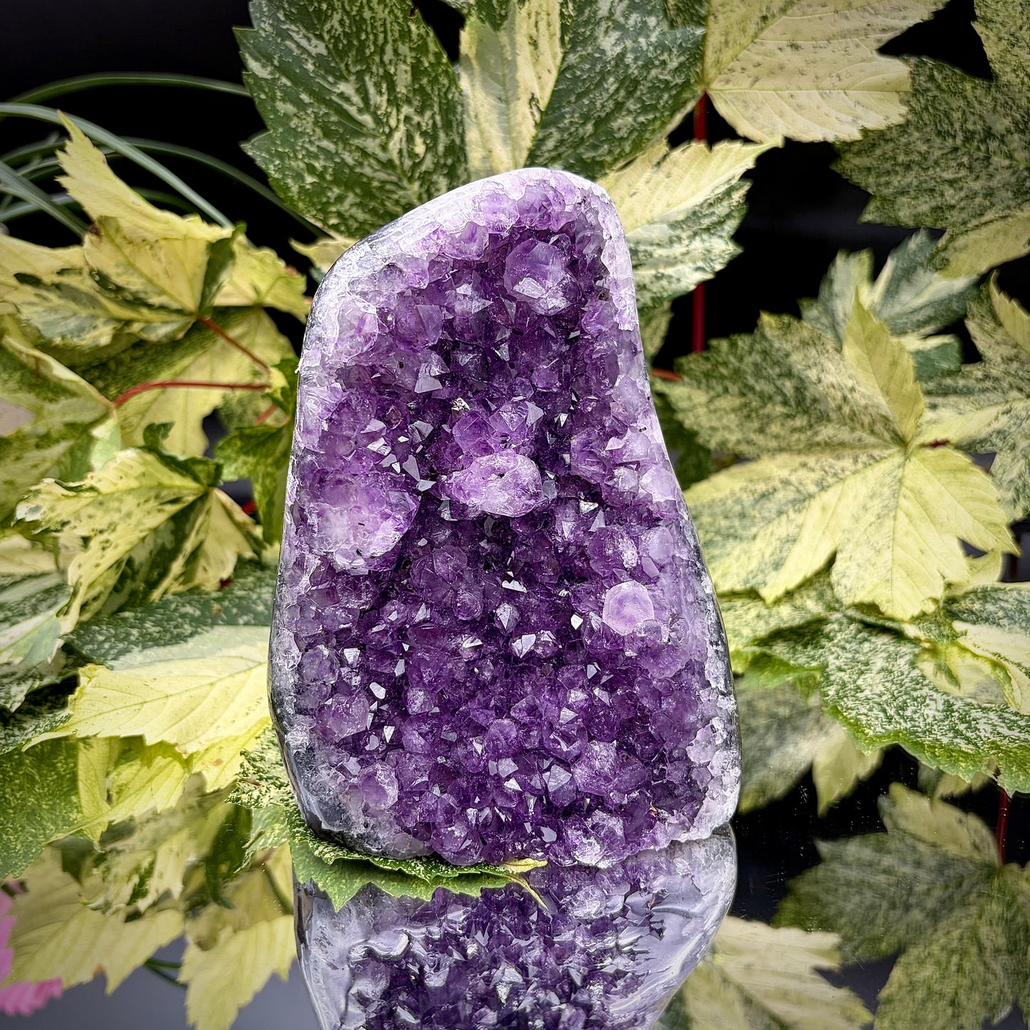 Uruguayan amethyst crystal freeform with purple crystal points and polished face rim displayed on a reflective surface.