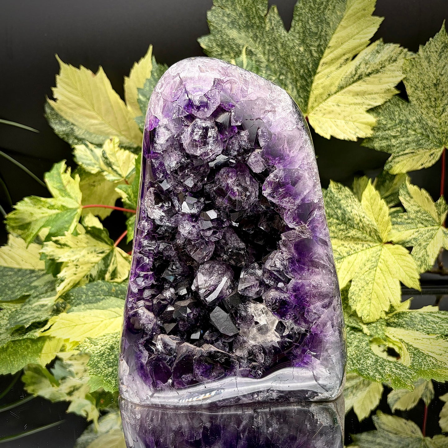 Uruguayan amethyst crystal freeform with purple crystal points and polished face rim displayed on a reflective surface.