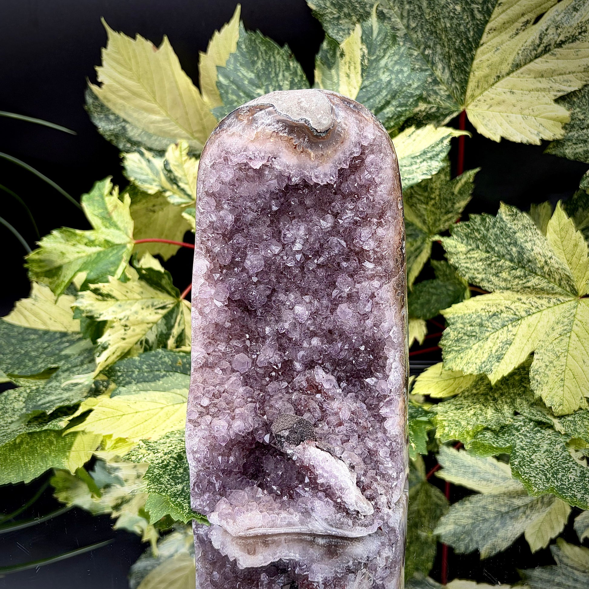 Uruguayan amethyst crystal freeform with purple crystal points and polished face rim displayed on a reflective surface.