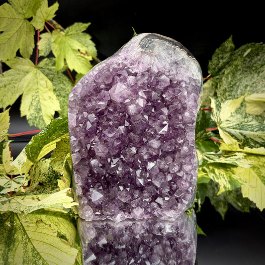 Uruguayan amethyst crystal freeform with purple crystal points and polished face rim displayed on a reflective surface.