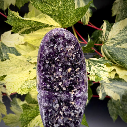 Uruguayan amethyst crystal freeform with purple crystal points and polished face rim displayed on a reflective surface.