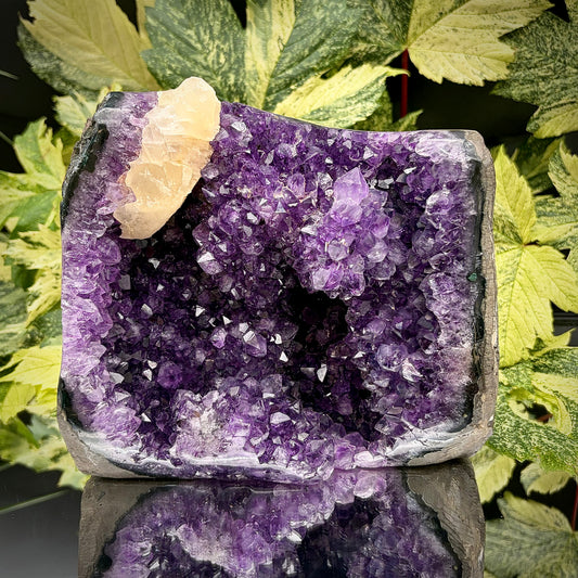 Uruguayan amethyst crystal freeform with purple crystal points and polished face rim displayed on a reflective surface.
