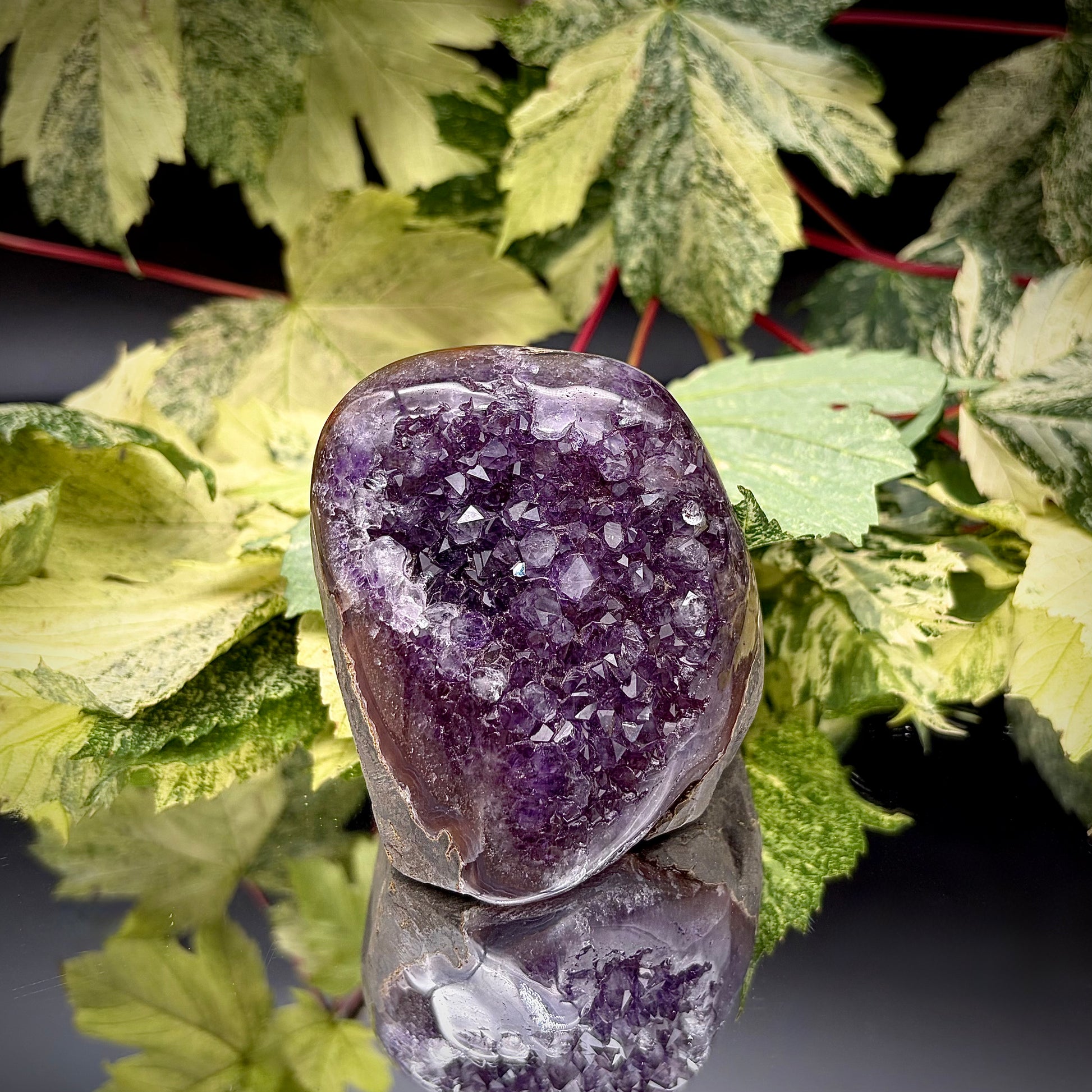 Uruguayan amethyst crystal freeform with purple crystal points and polished face rim displayed on a reflective surface.