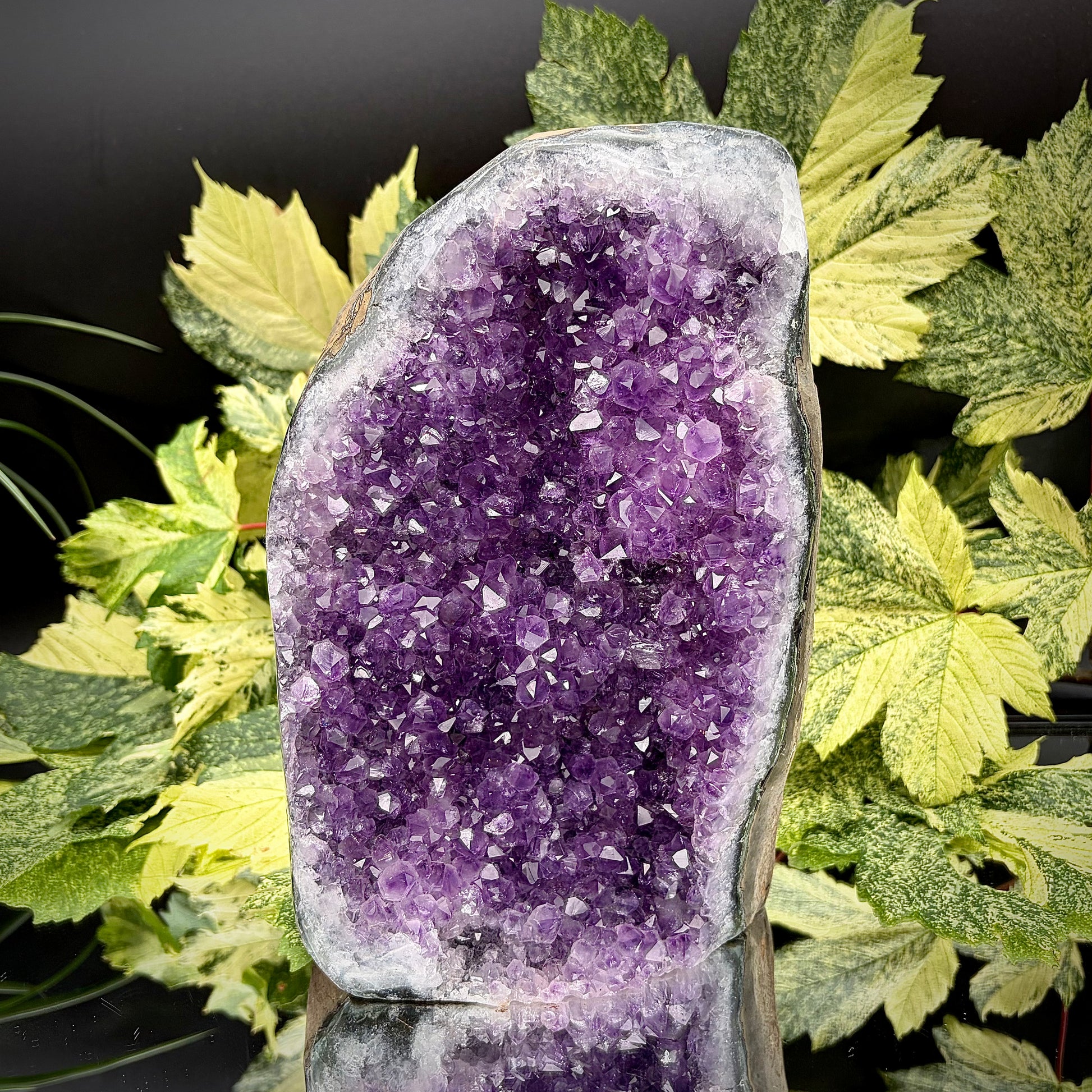 Uruguayan amethyst crystal freeform with purple crystal points and polished face rim displayed on a reflective surface.