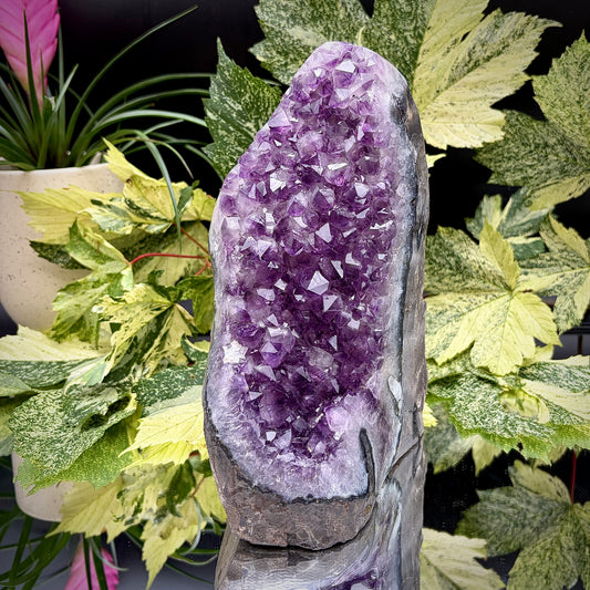 Uruguayan amethyst crystal freeform with purple crystal points and polished face rim displayed on a reflective surface.