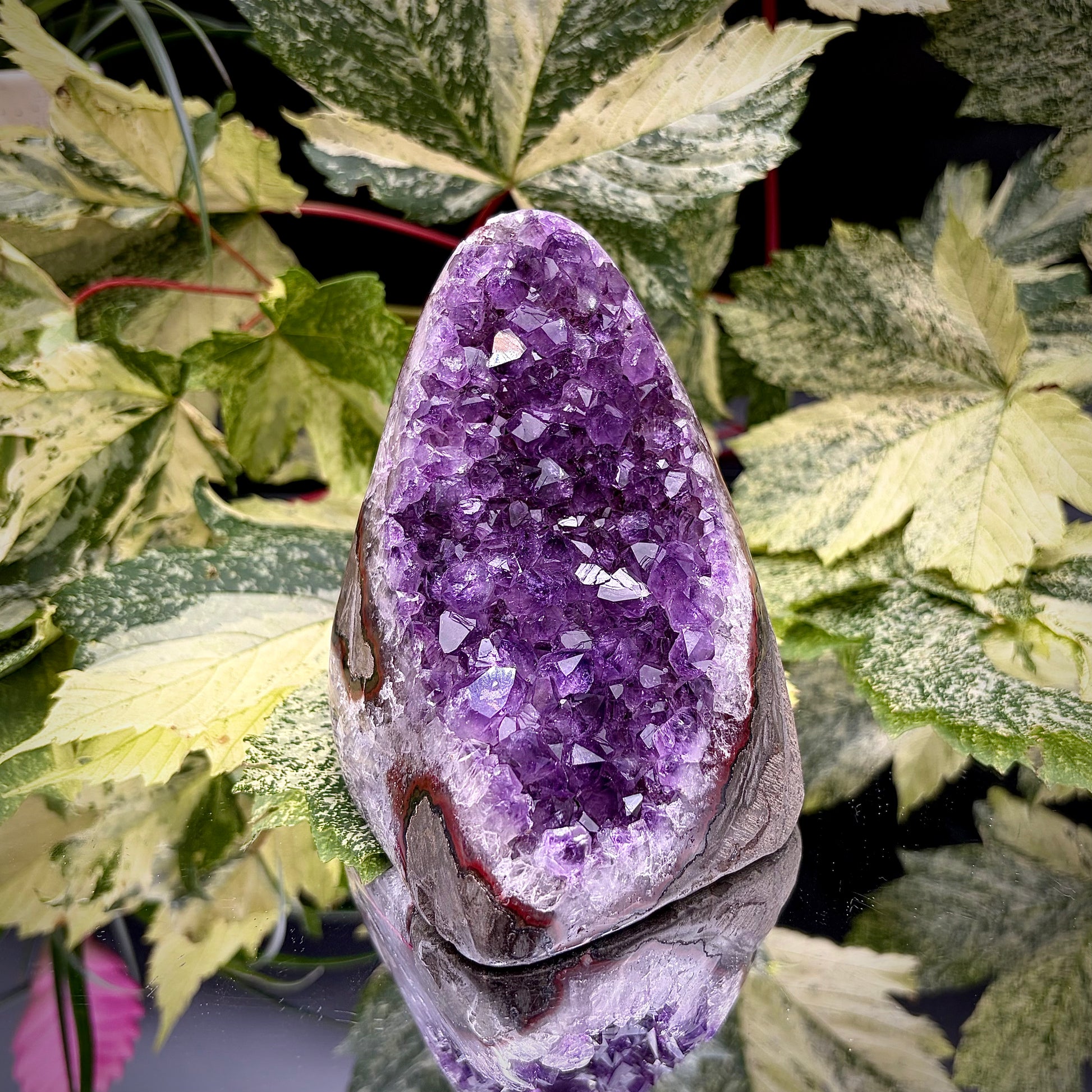 Uruguayan amethyst crystal freeform with purple crystal points and polished face rim displayed on a reflective surface.