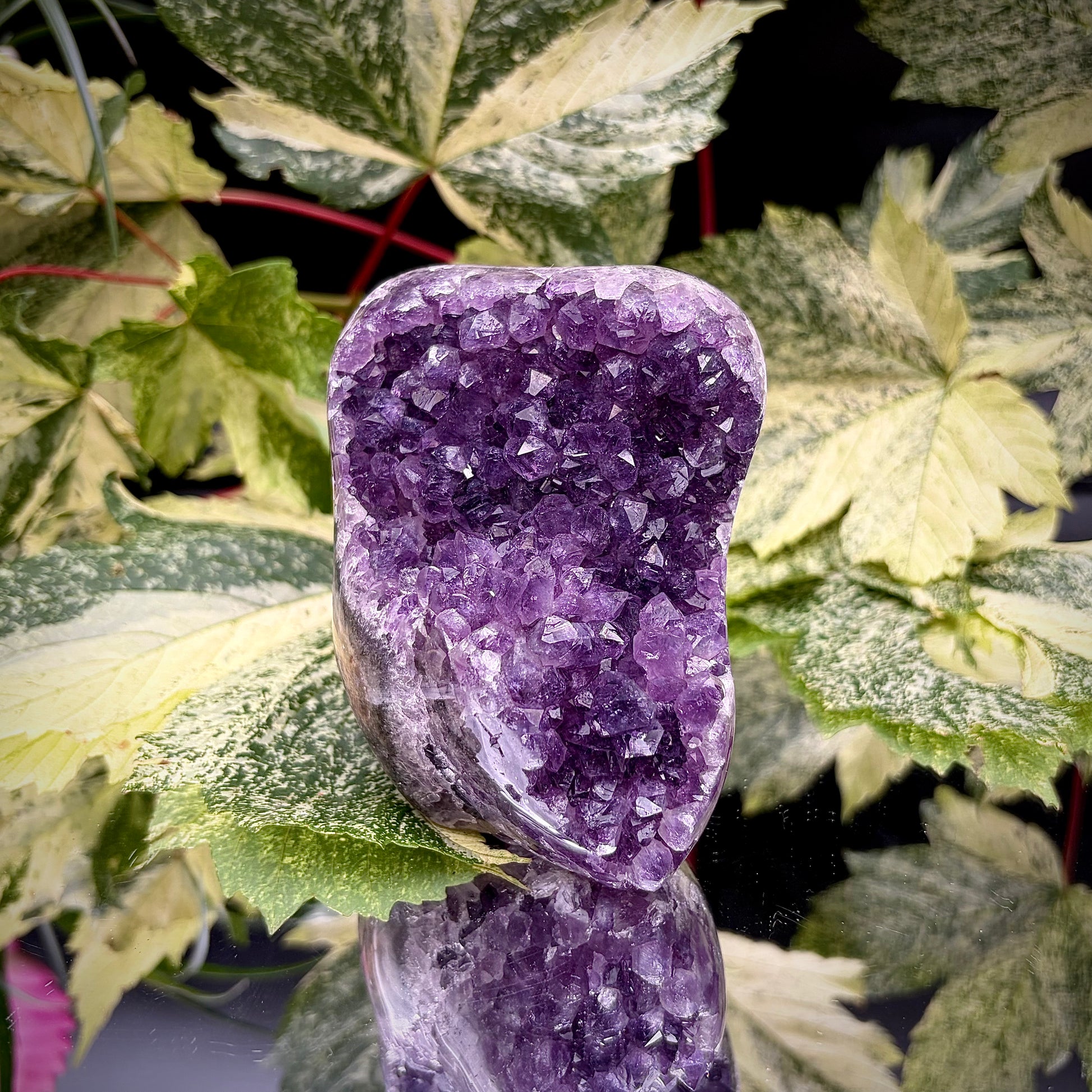 Uruguayan amethyst crystal freeform with purple crystal points and polished face rim displayed on a reflective surface.