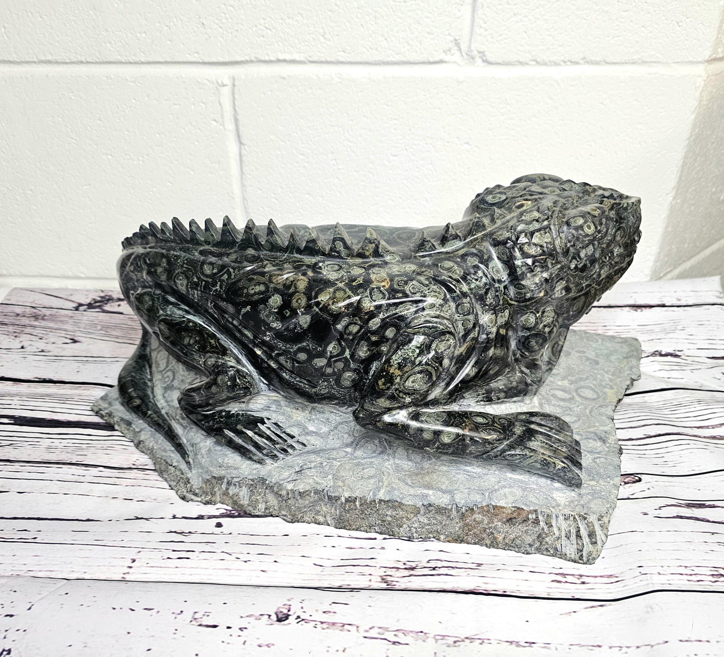 Beautiful Kambaba Jasper Iguana for home or office decor.