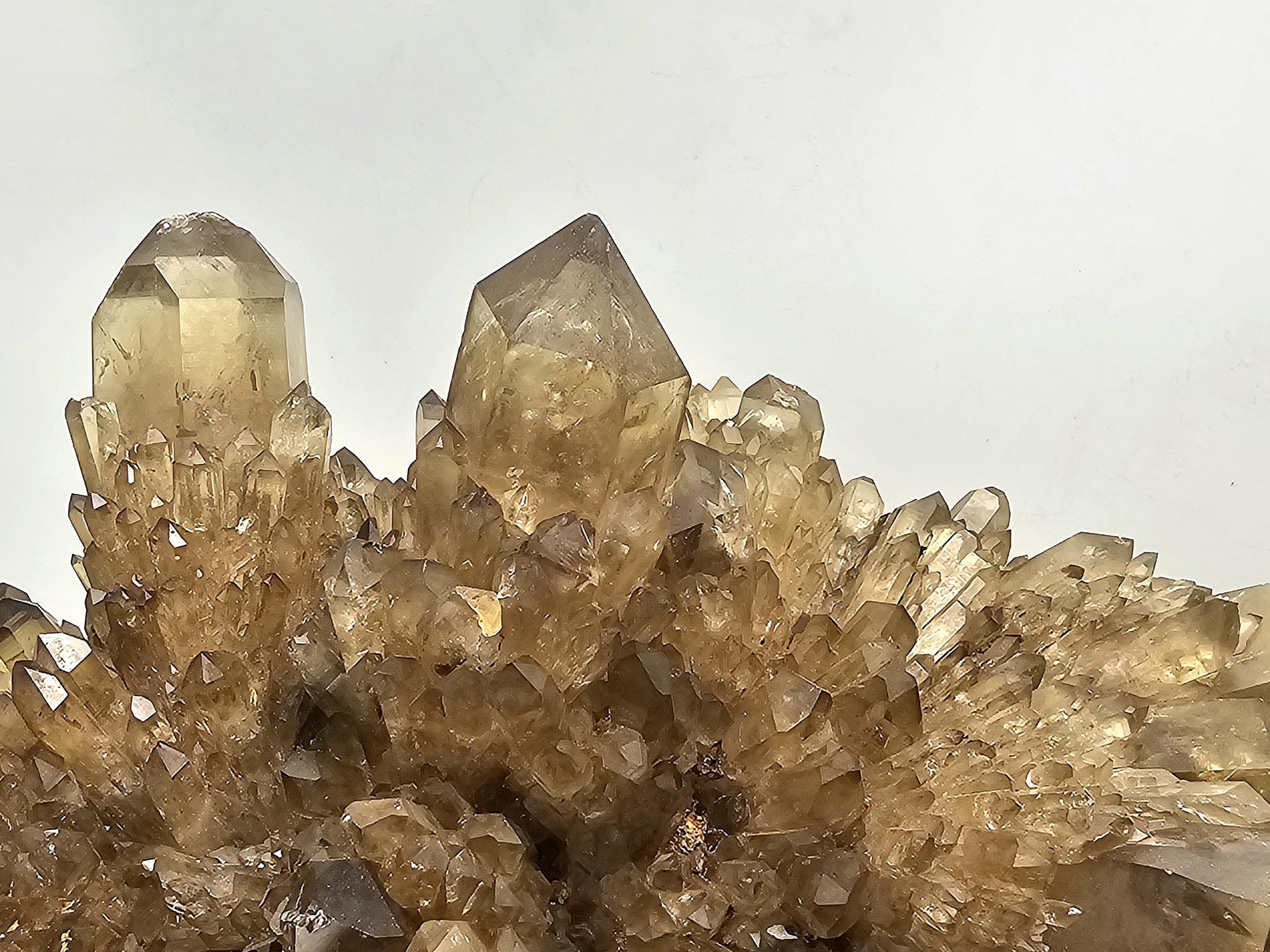 Fine crystal specimen, large Kundalini Citrine cluster display.