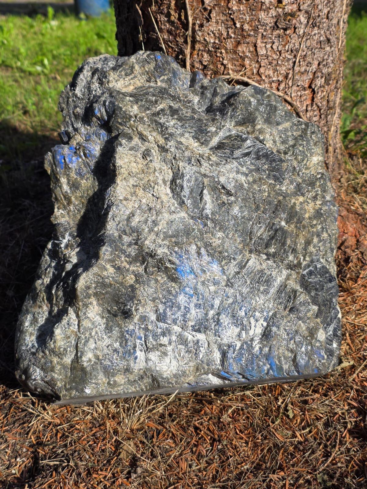 Labradorite big cat sculpture with carved Jaguar design and rough stone surround