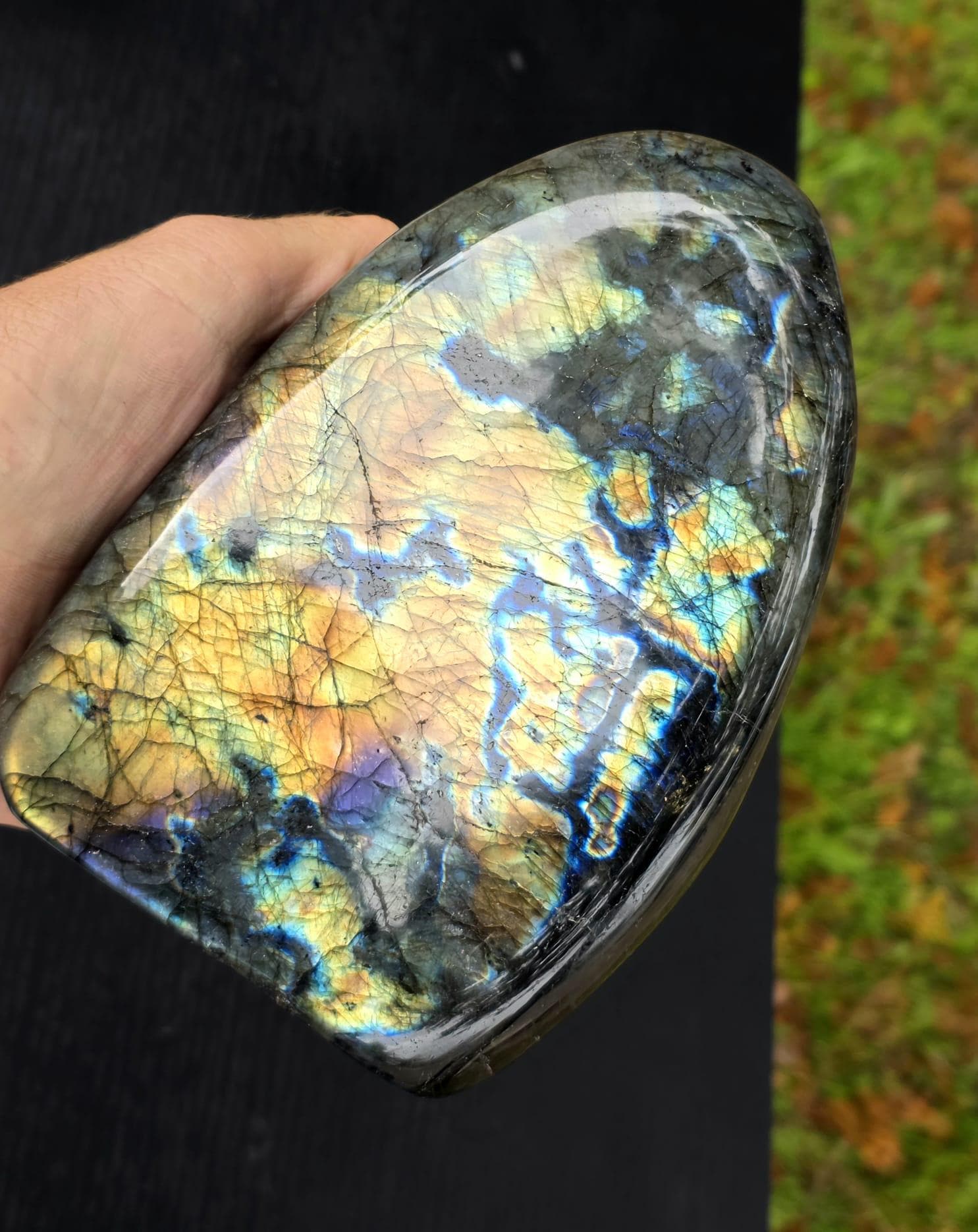 Electric blue-green reflections.