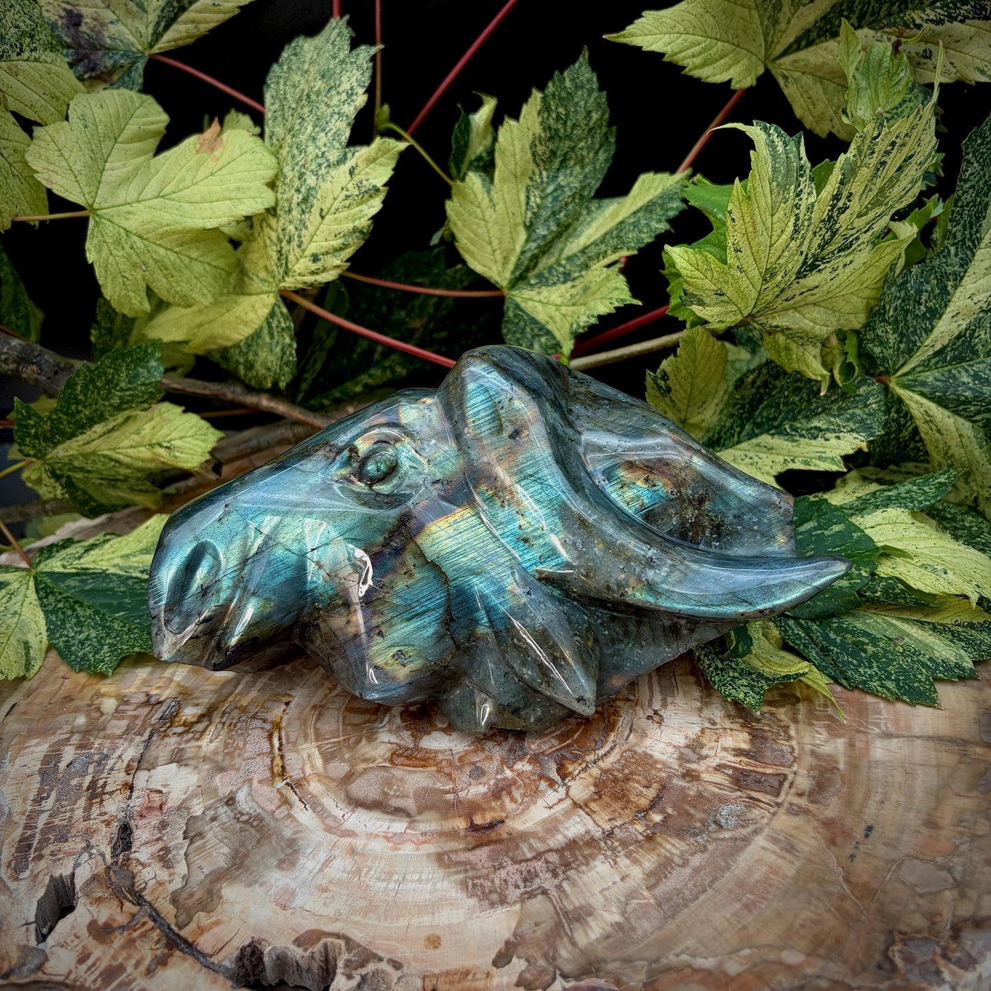 Detailed horns on Labradorite bull sculpture