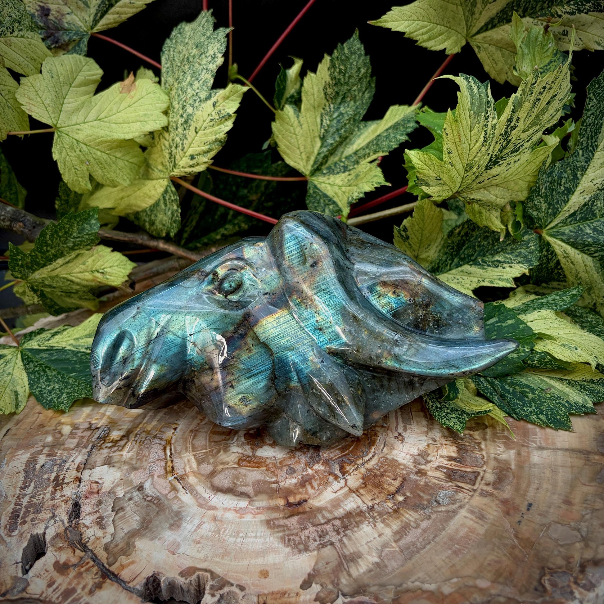 Detailed horns on Labradorite bull sculpture