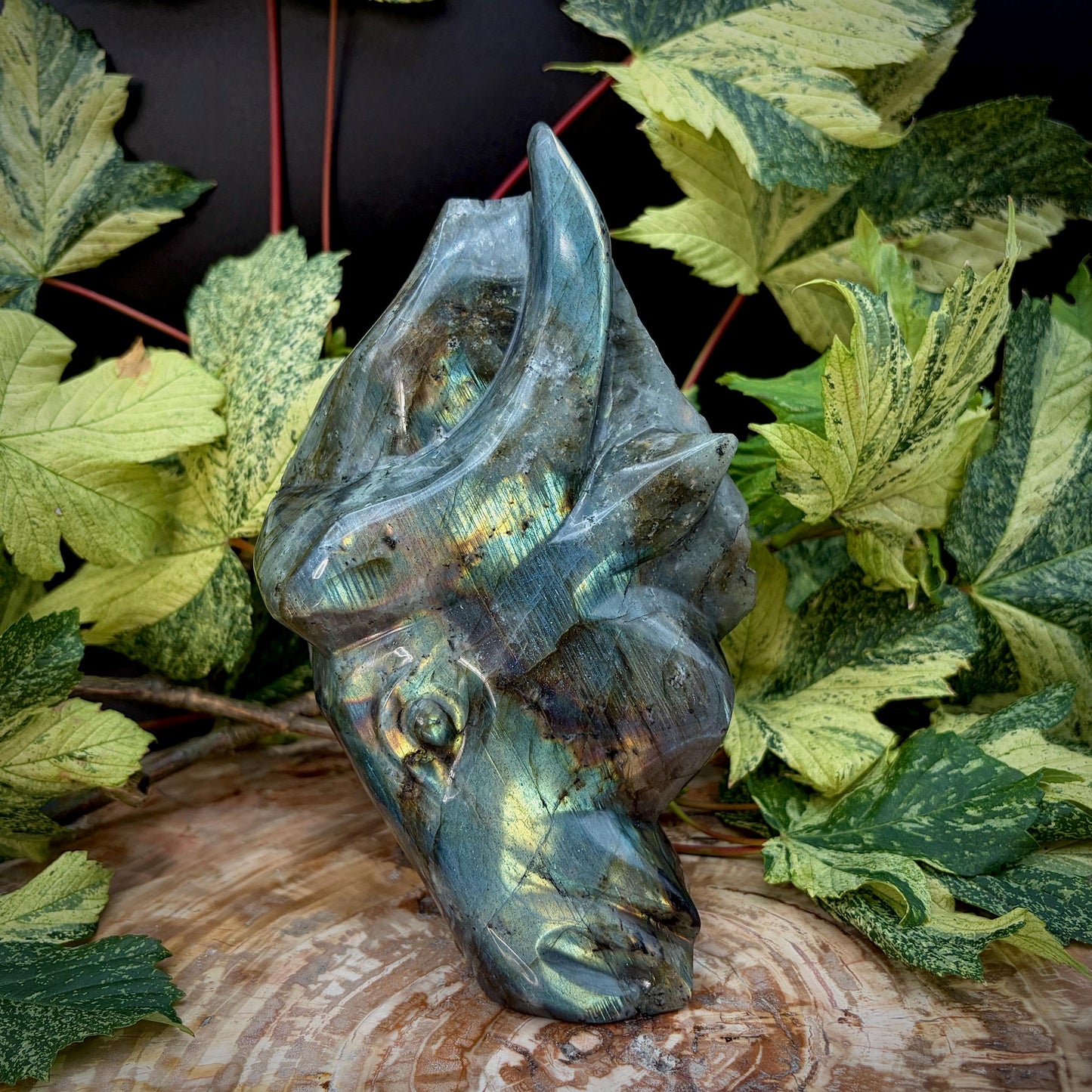 Front view of polished Labradorite bull sculpture