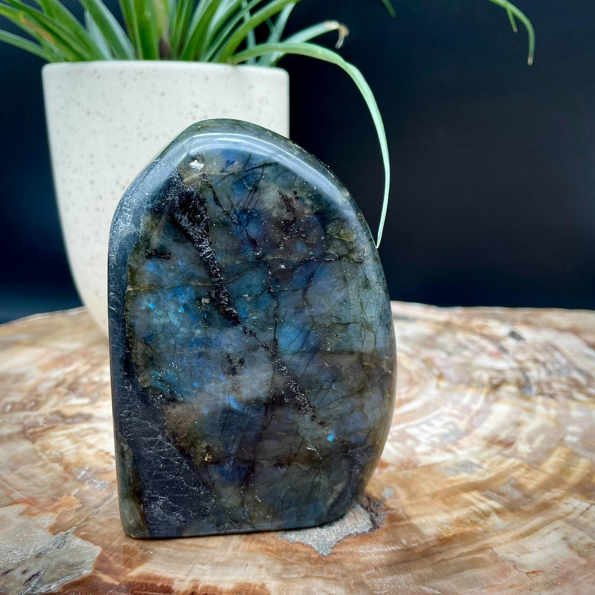Labradorite freeform for a crystal collection