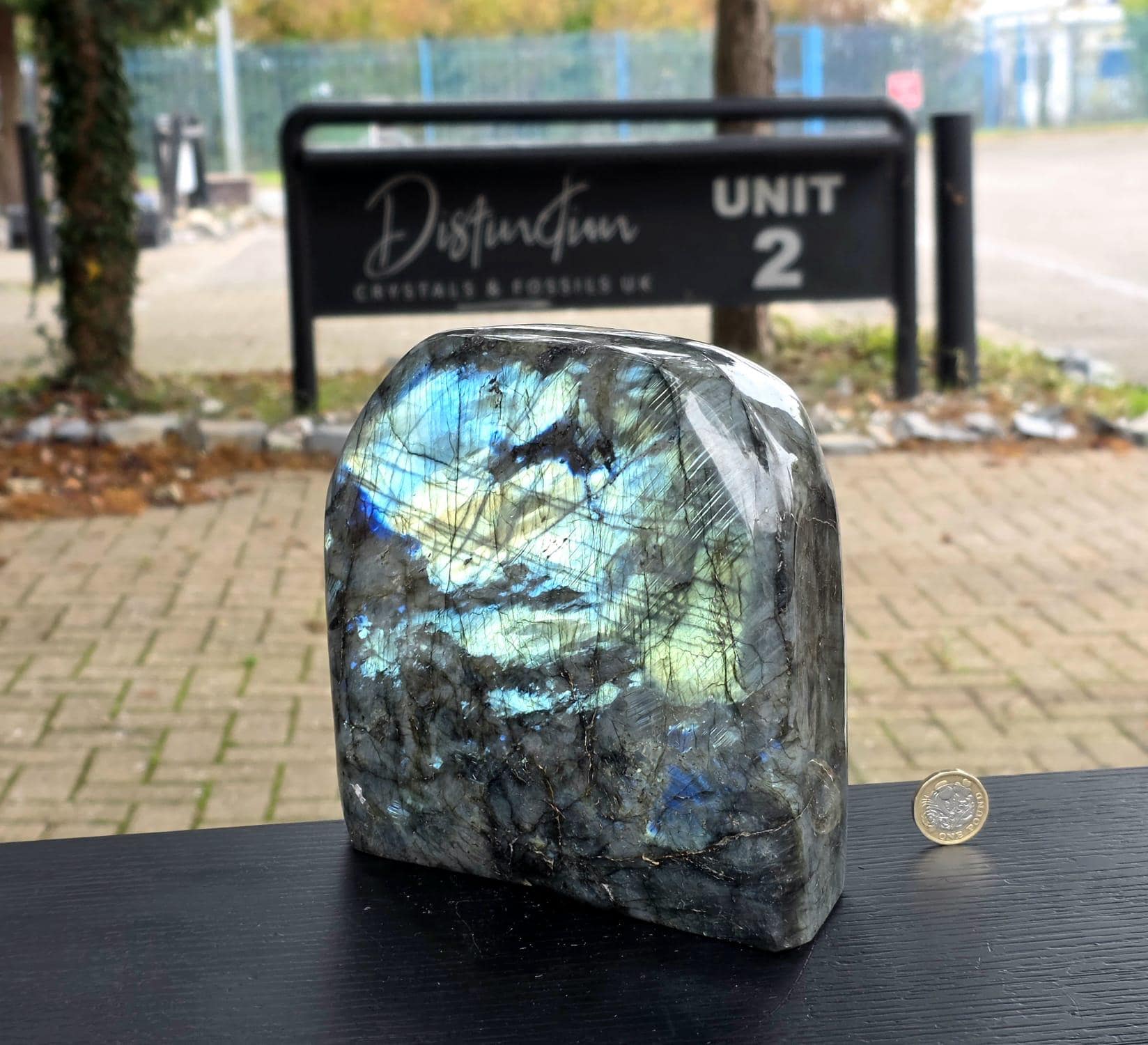 Display piece showing natural patterns.