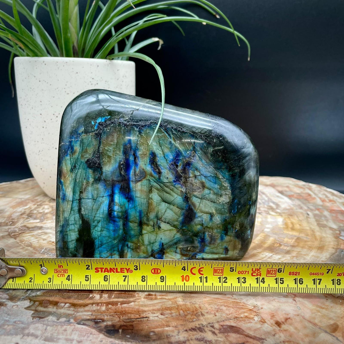 Madagascan Labradorite freeform collector specimen