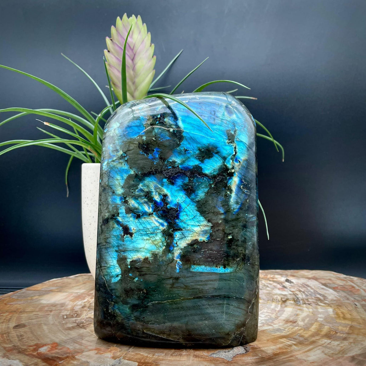 Labradorite freeform crystal gift